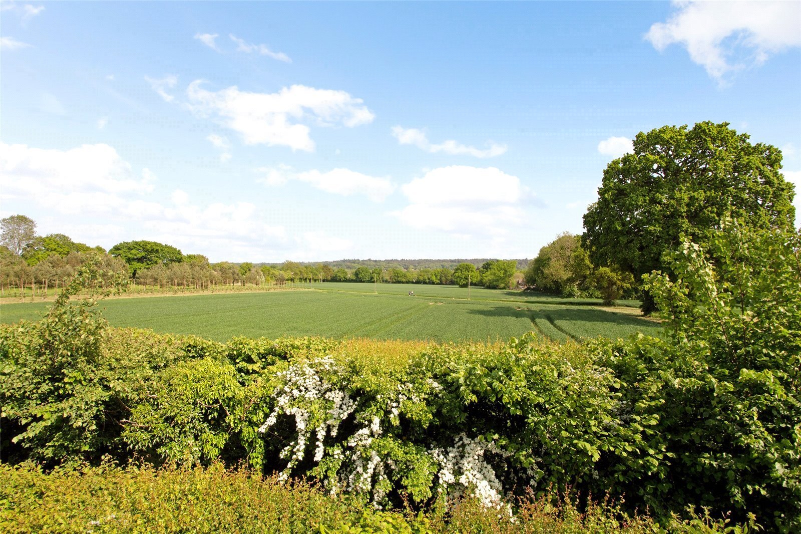 Farnham Road, Liss, Hampshire, GU33 Image 13