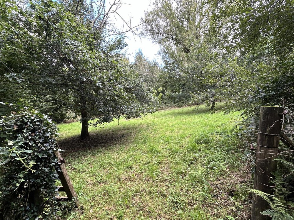 Stags property for sale in Eggesford