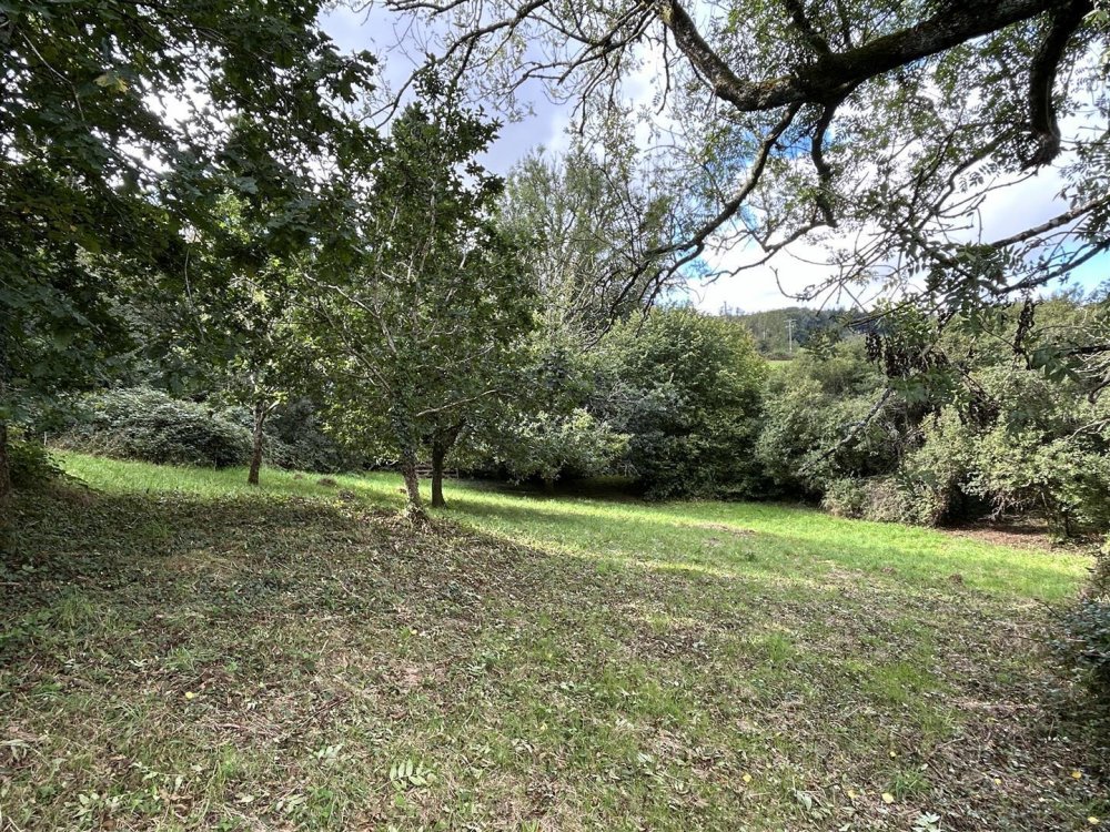 Stags property for sale in Eggesford