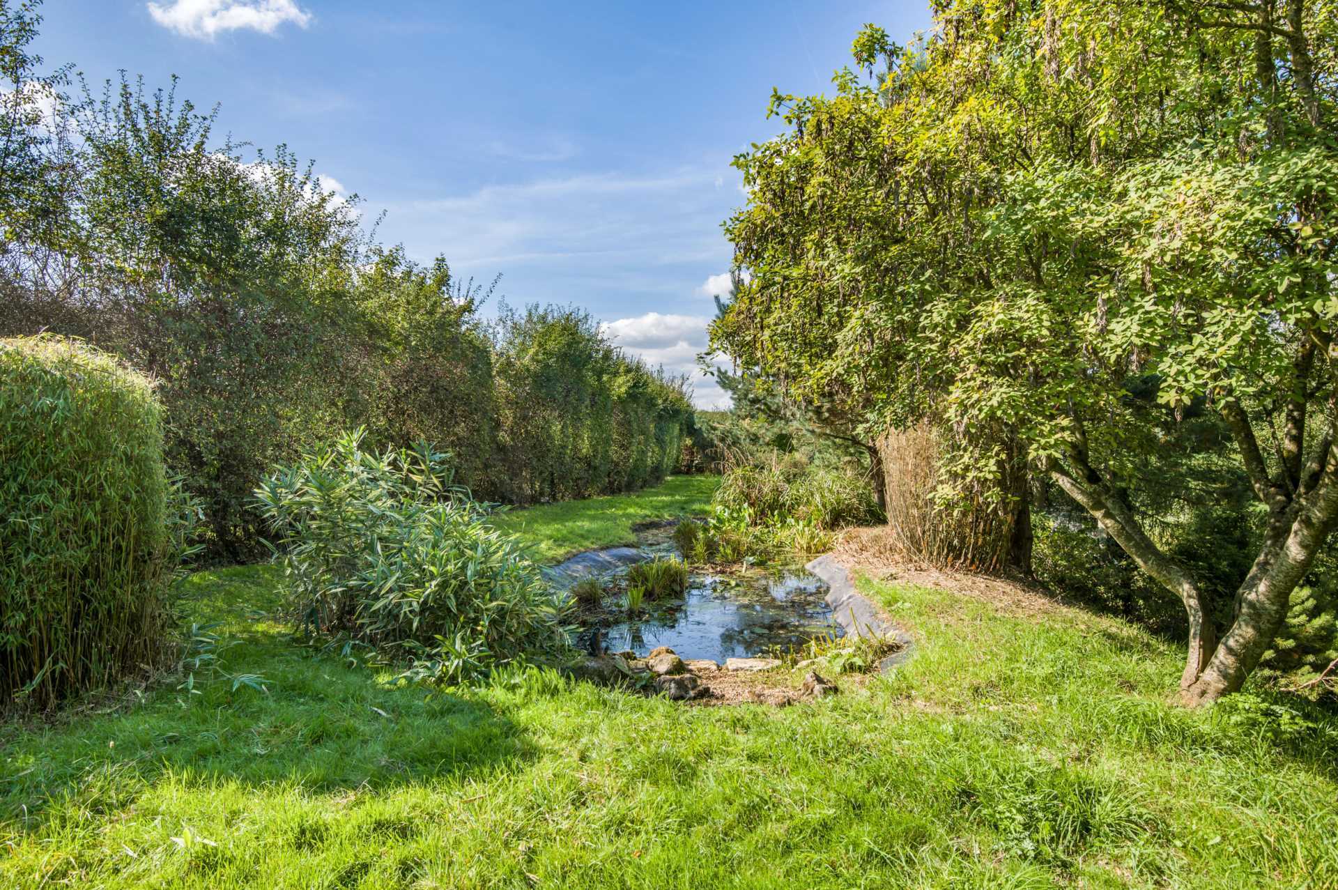 Shaftesbury - 4.37 Acres Image 4