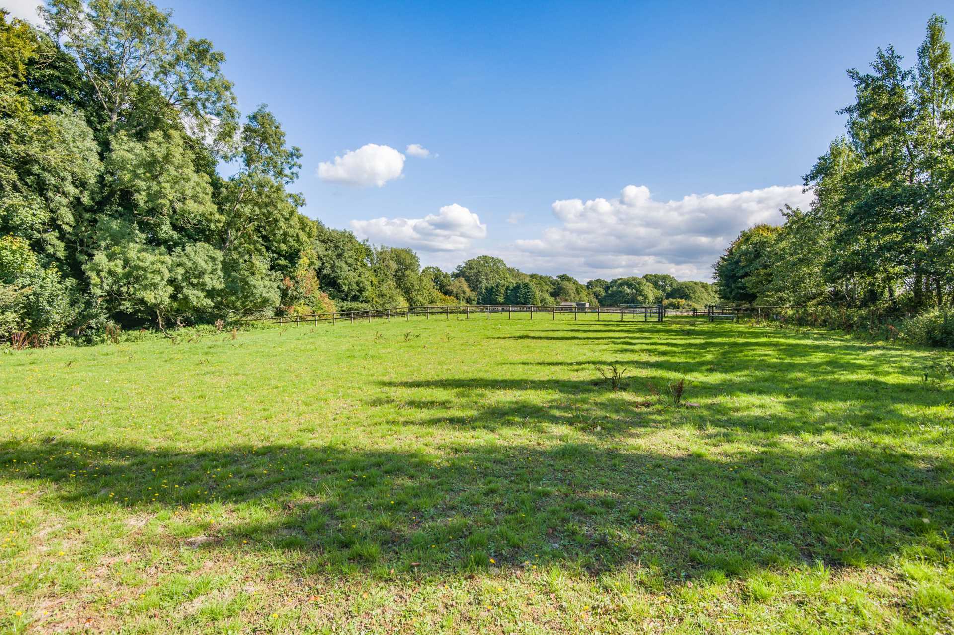 Shaftesbury - 4.37 Acres Image 6
