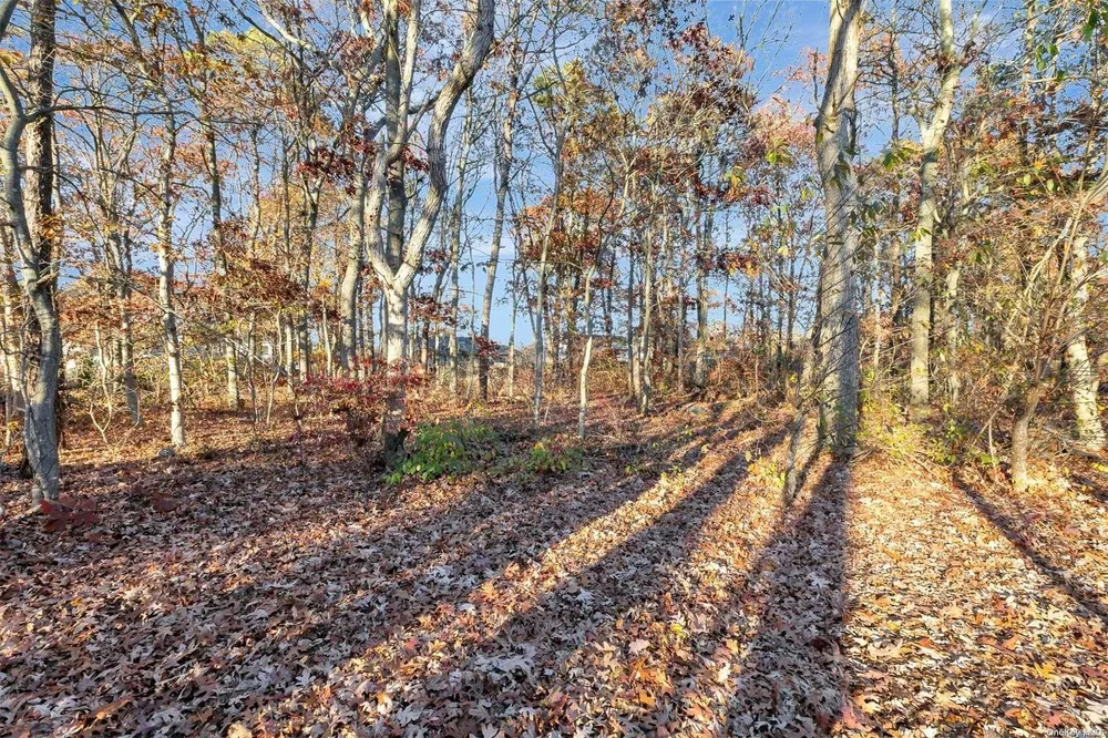 25 Sweetbriar Dr, Mastic, NY 11950