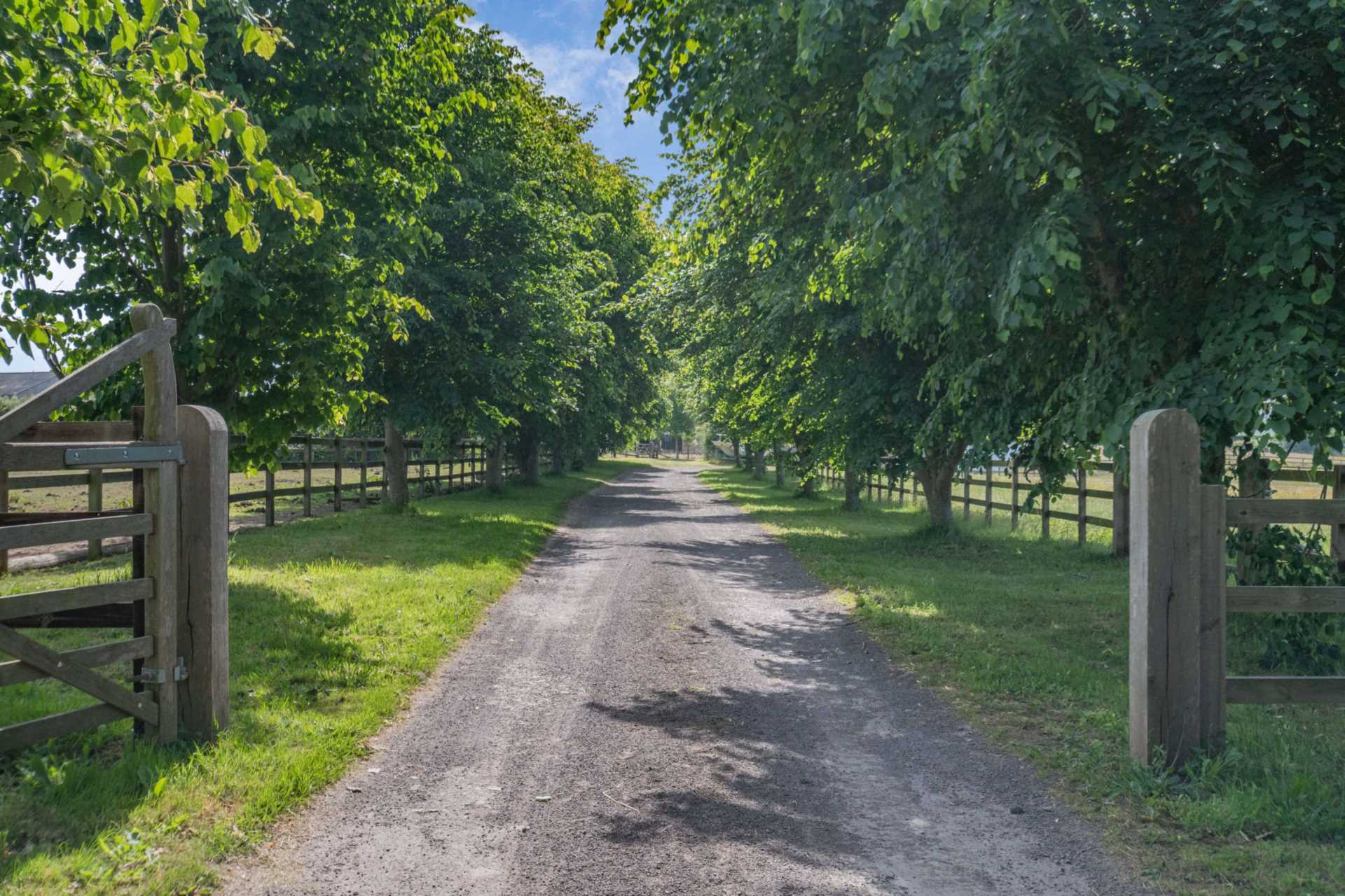 Easterton Sands, Wiltshire Image 5