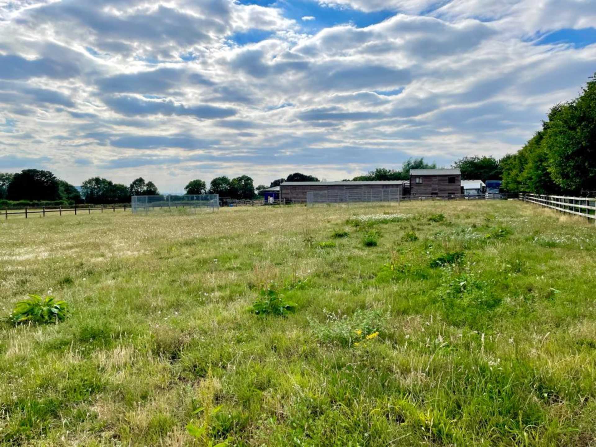 Easterton Sands, Wiltshire Image 12