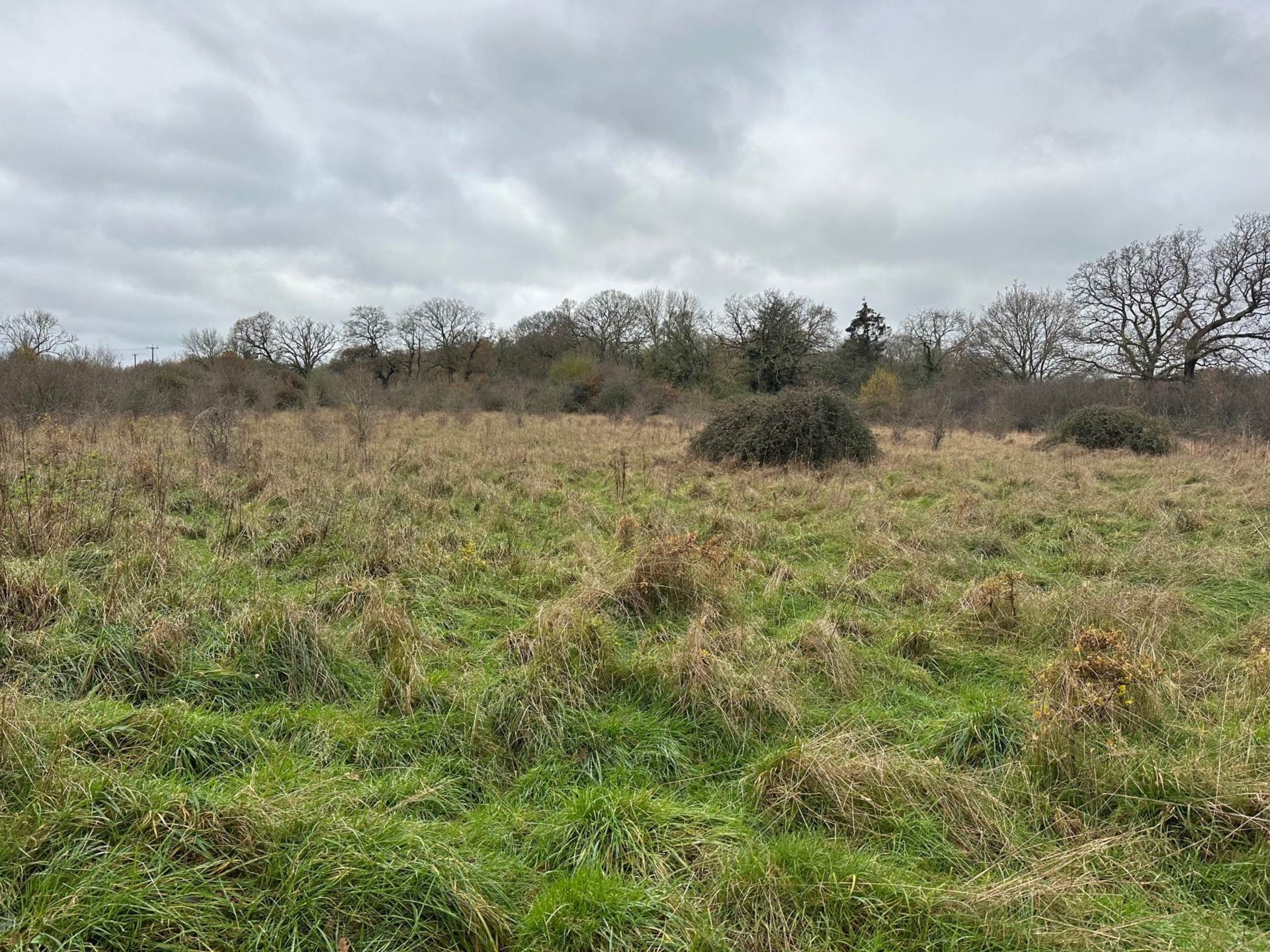 LOT 4 Awbridge, Nr Romsey Image 5