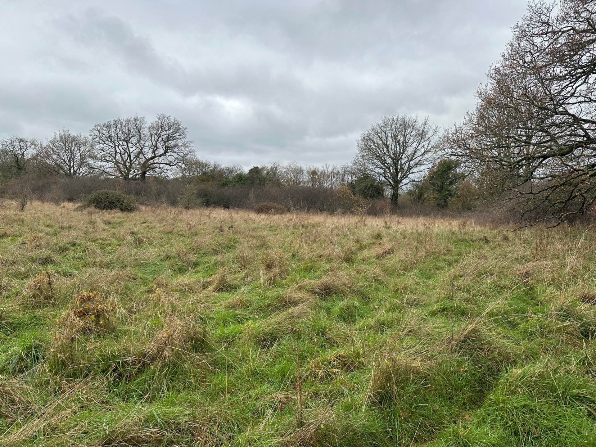 LOT 4 Awbridge, Nr Romsey Image 6