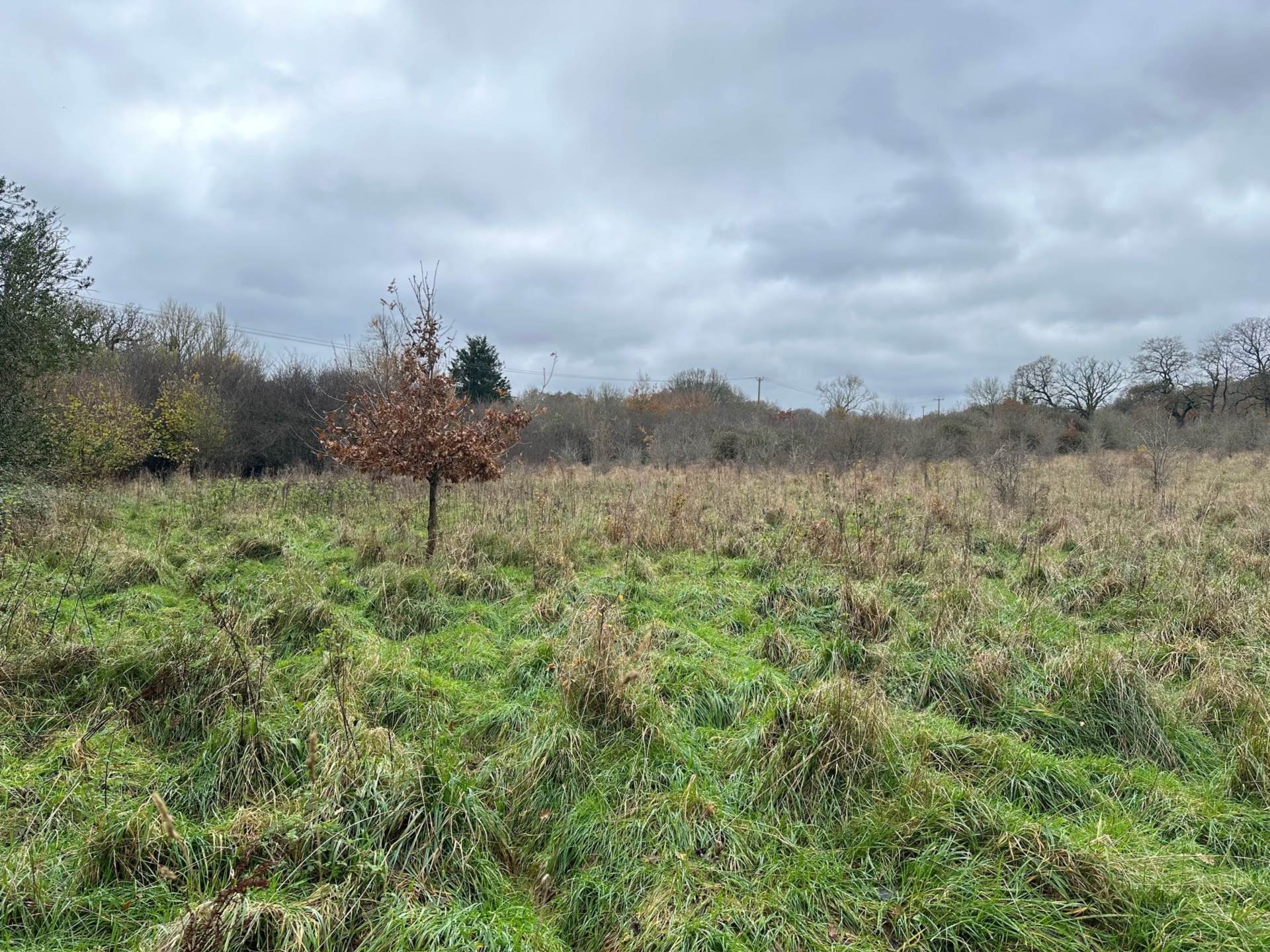 LOT 4 Awbridge, Nr Romsey Image 7