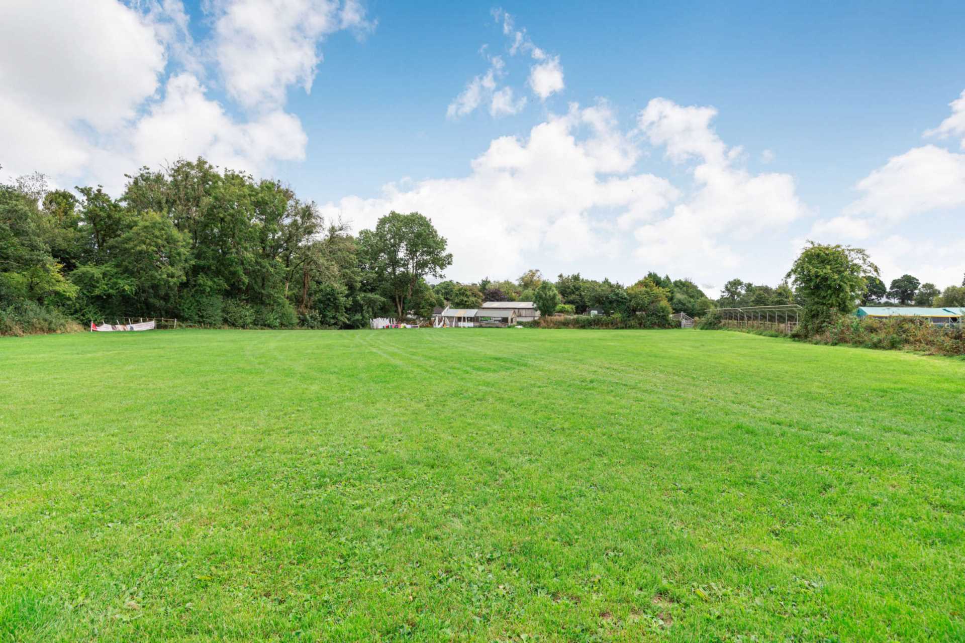 Devon/Cornwall Border - Equestrian Business- 10 Acres Image 13