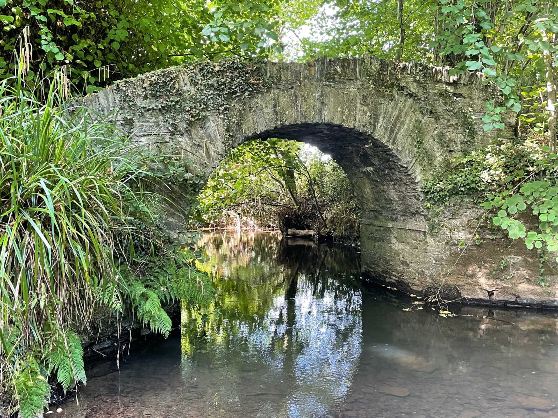 Devon/Cornwall Border - Equestrian Business- 10 Acres Image 17