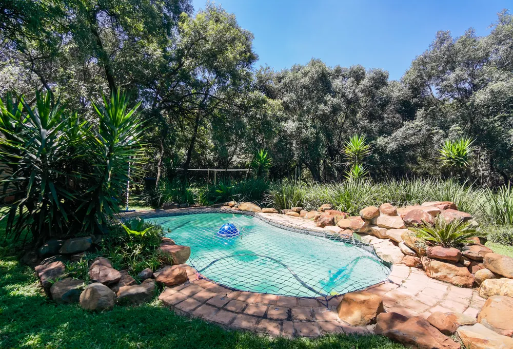 South Africa, North West, K'shane, Fever Lane, 651