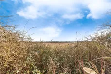 Allington Gardens, Allington, Grantham