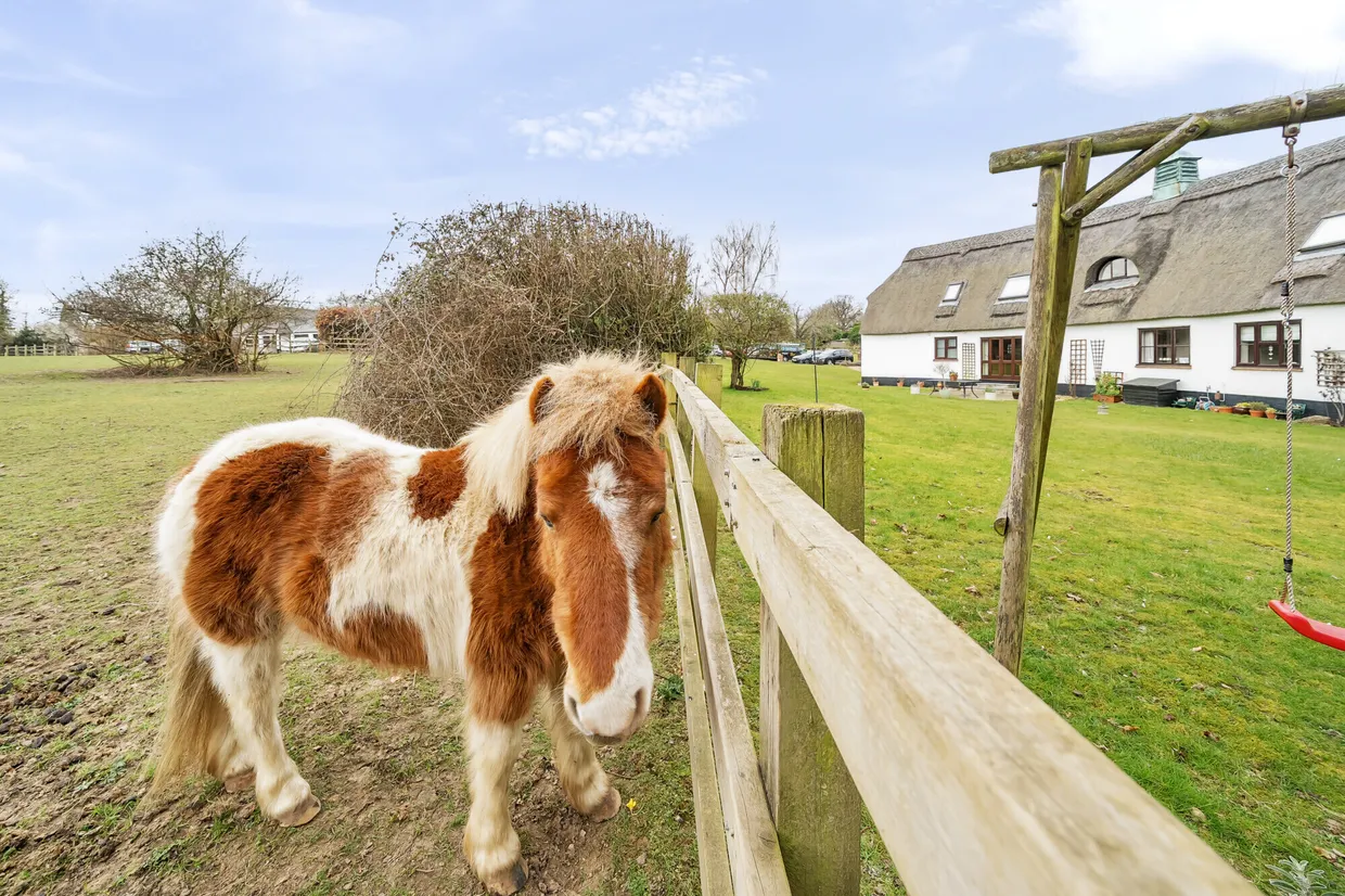 Dairy Way, Abbots Langley, WD5 photo 13
