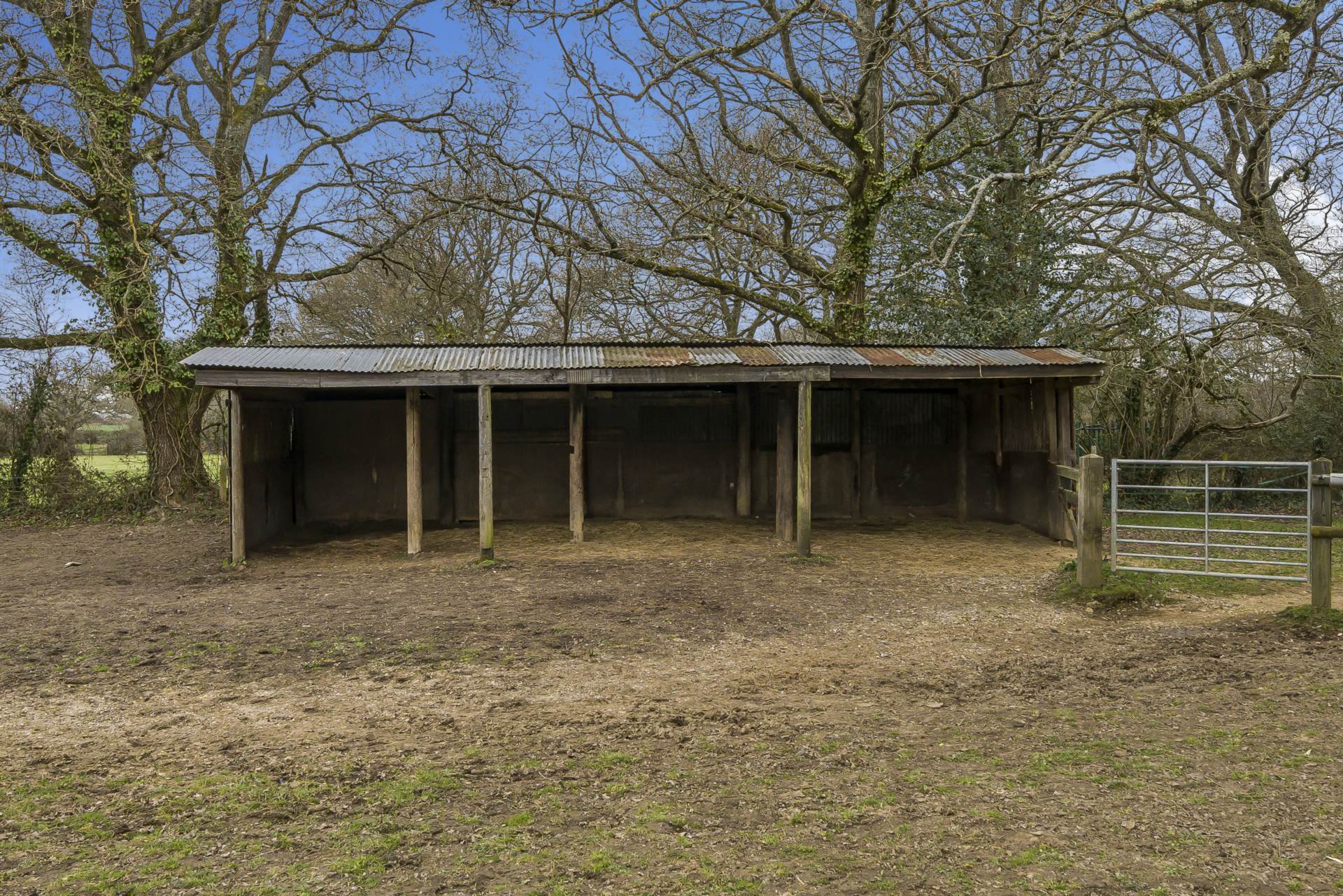 Nr Wimborne, Dorset Image 17