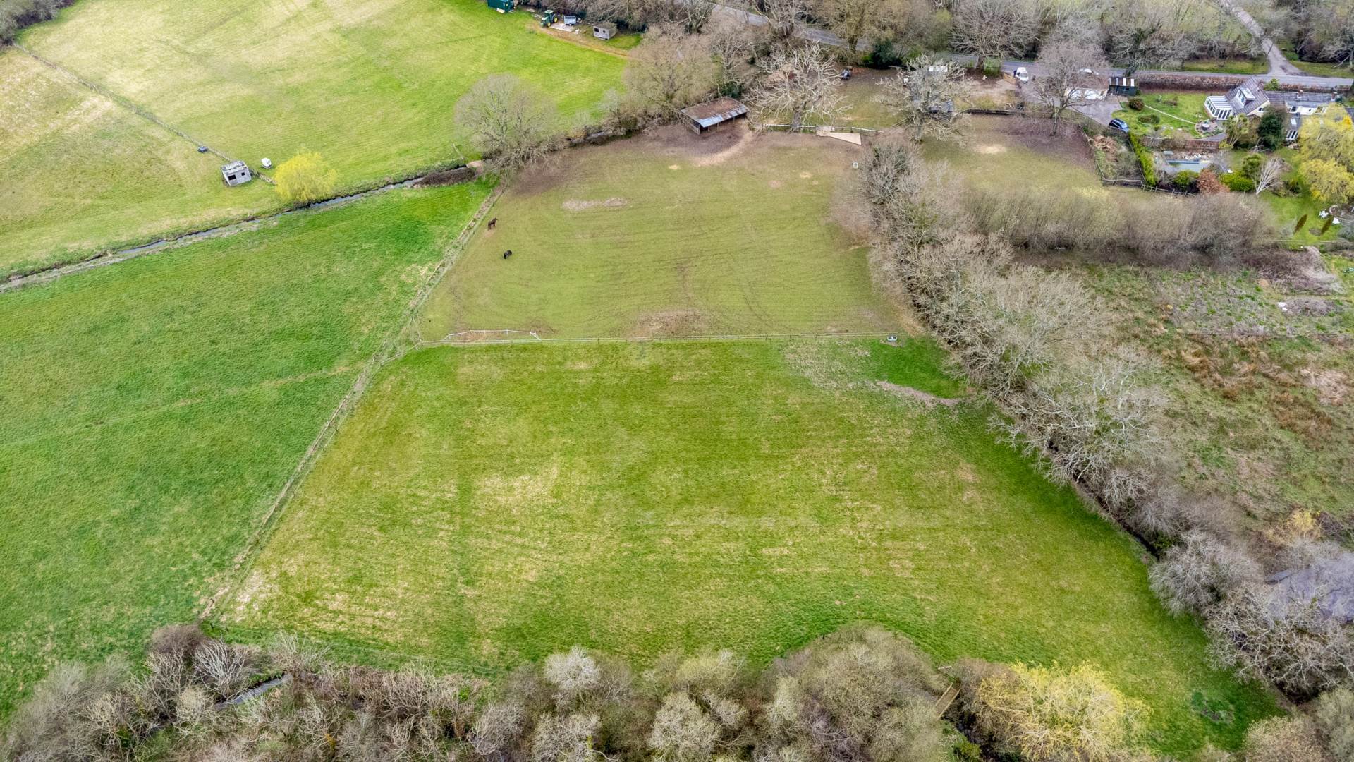 Nr Wimborne, Dorset Image 3