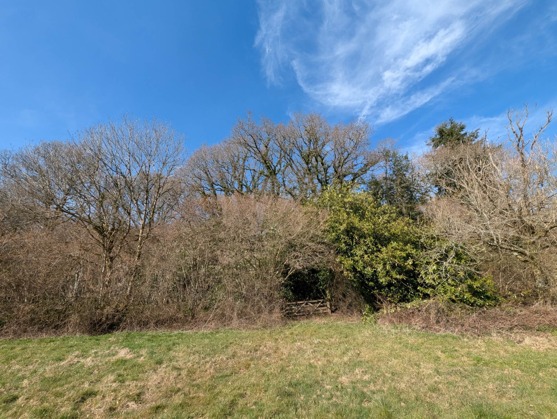 Nr Motcombe, Dorset Image 18