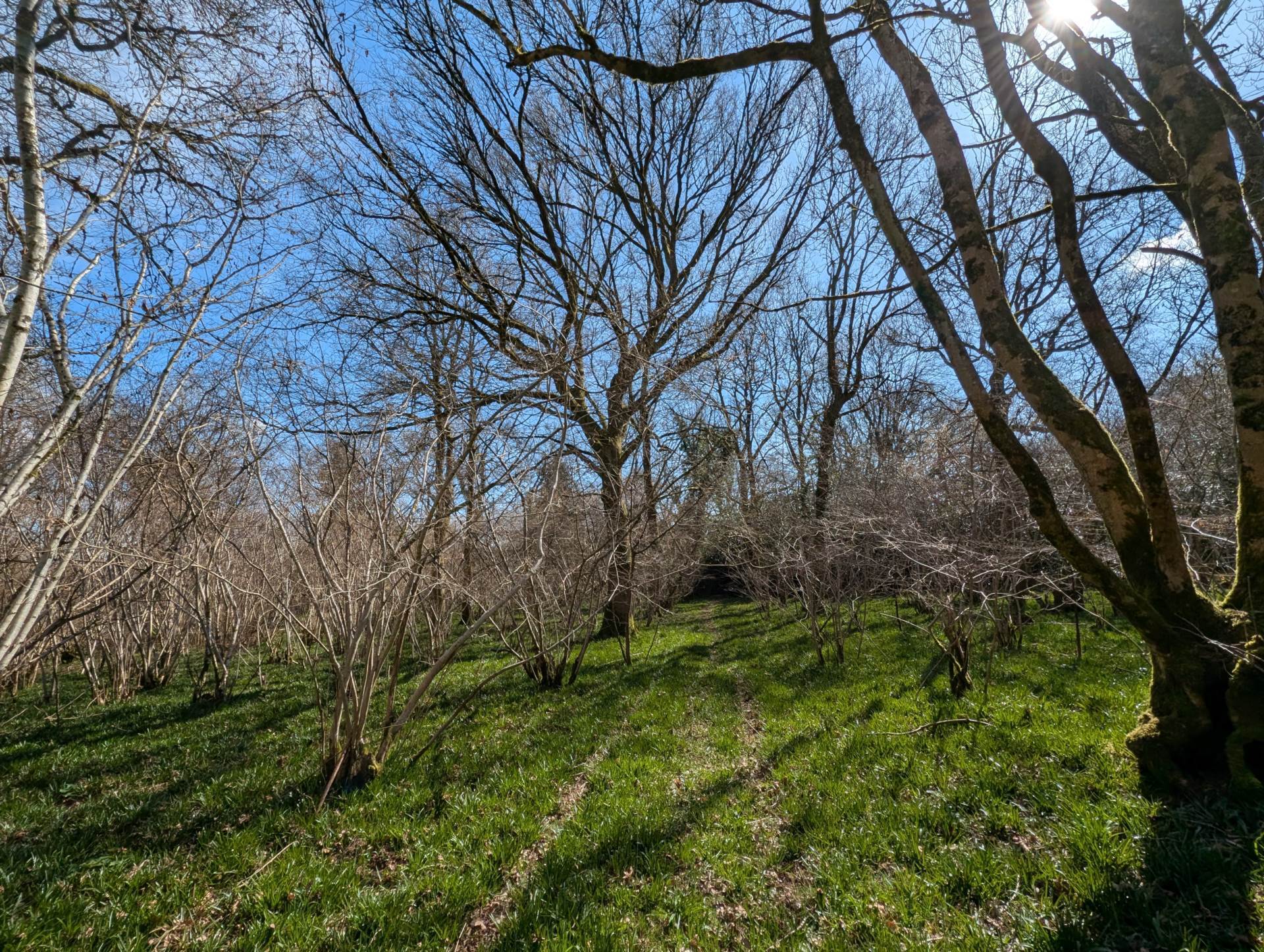 Nr Motcombe, Dorset Image 7