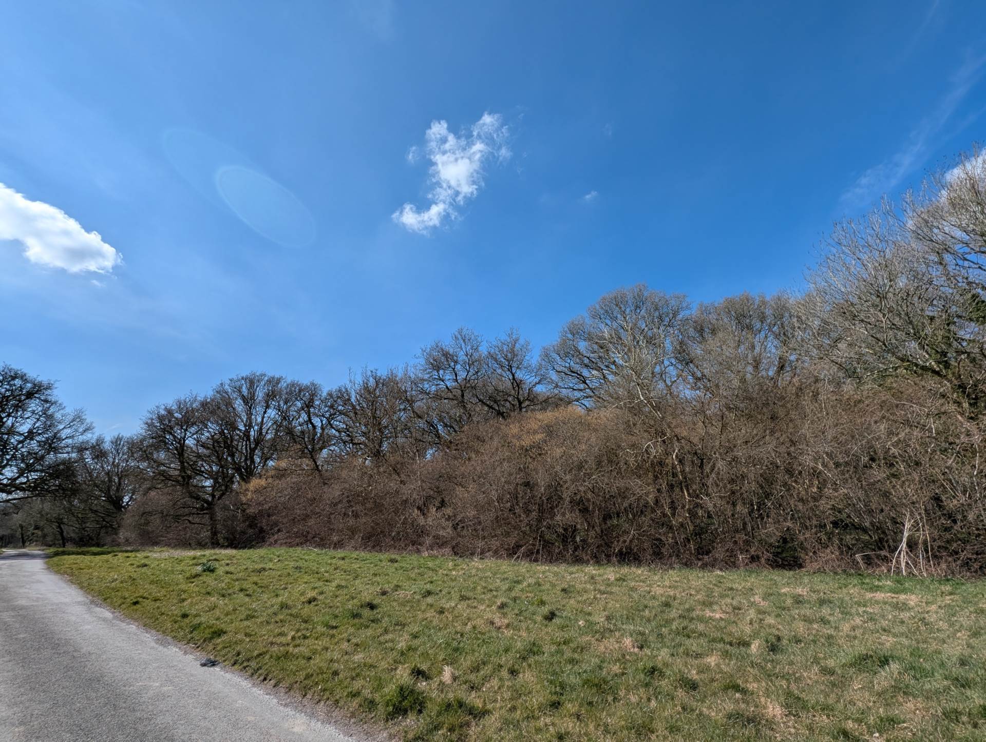 Nr Motcombe, Dorset Image 19