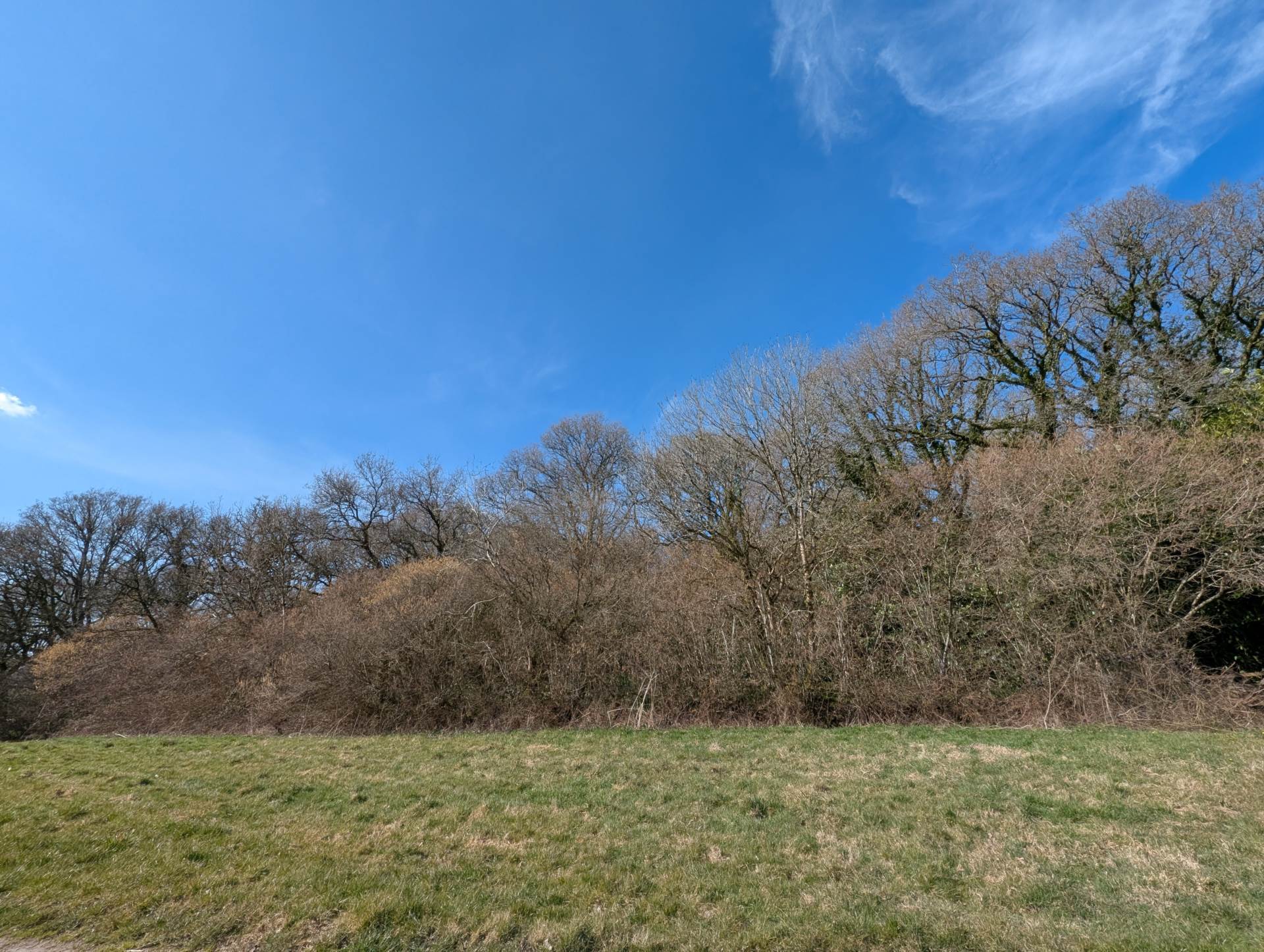 Nr Motcombe, Dorset Image 3