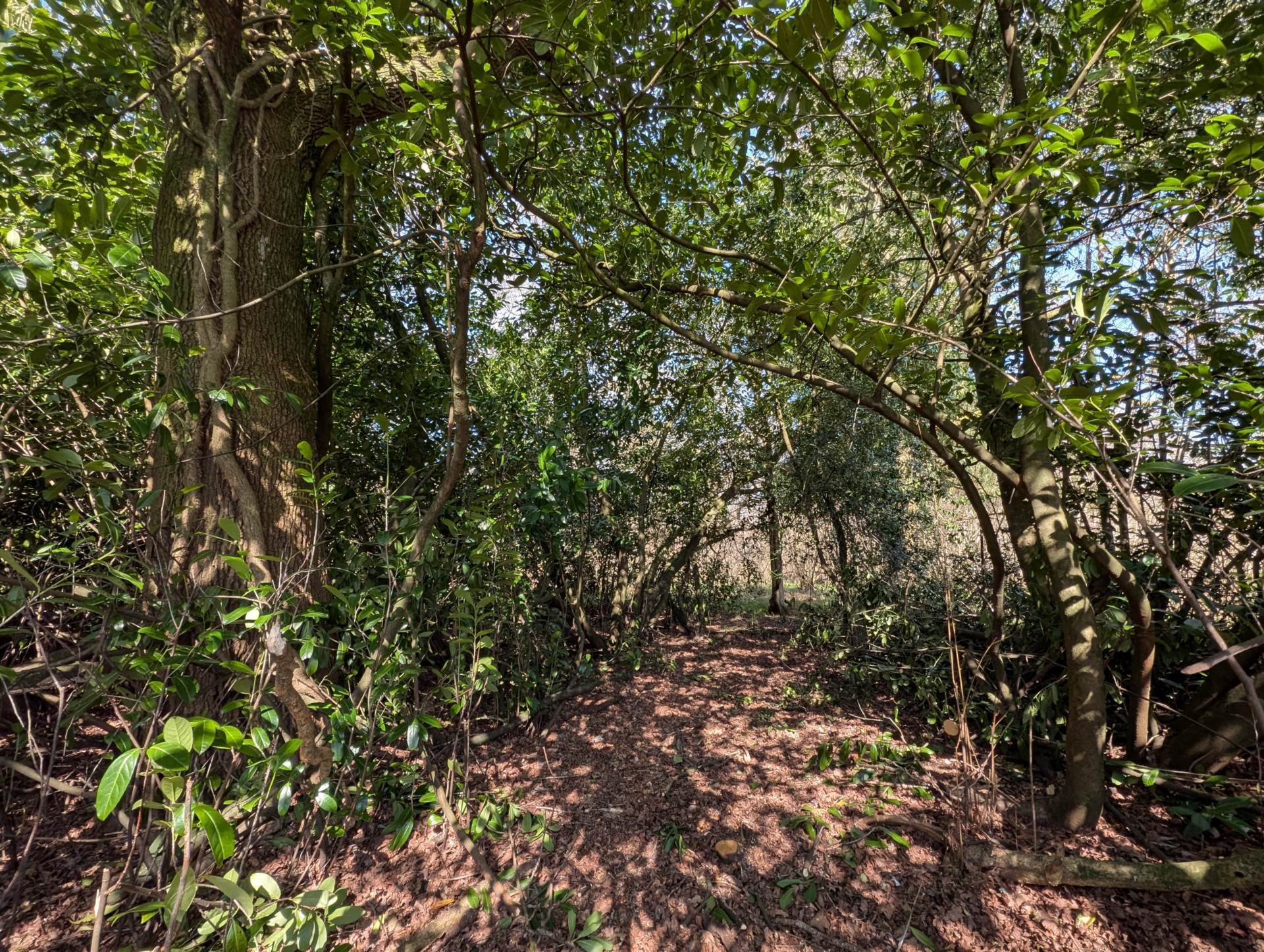 Nr Motcombe, Dorset - About 7.4 Acres Image 8
