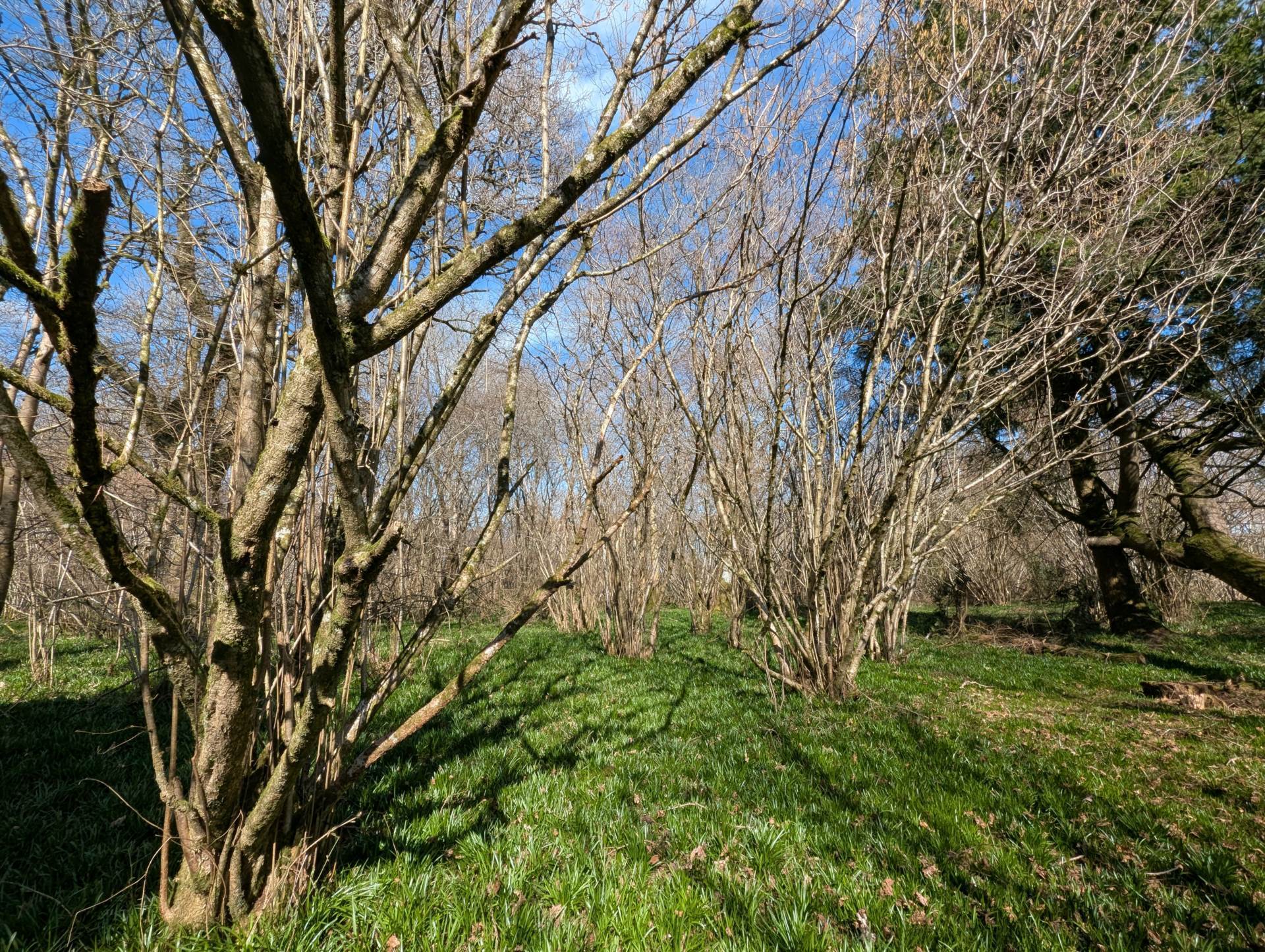 Nr Motcombe, Dorset - About 7.4 Acres Image 10