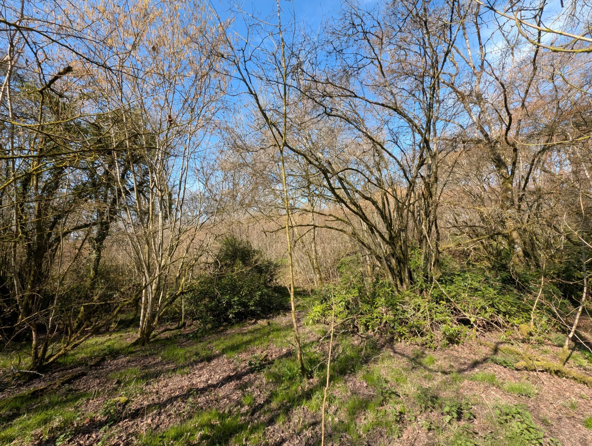 Nr Motcombe, Dorset - About 7.4 Acres Image 14