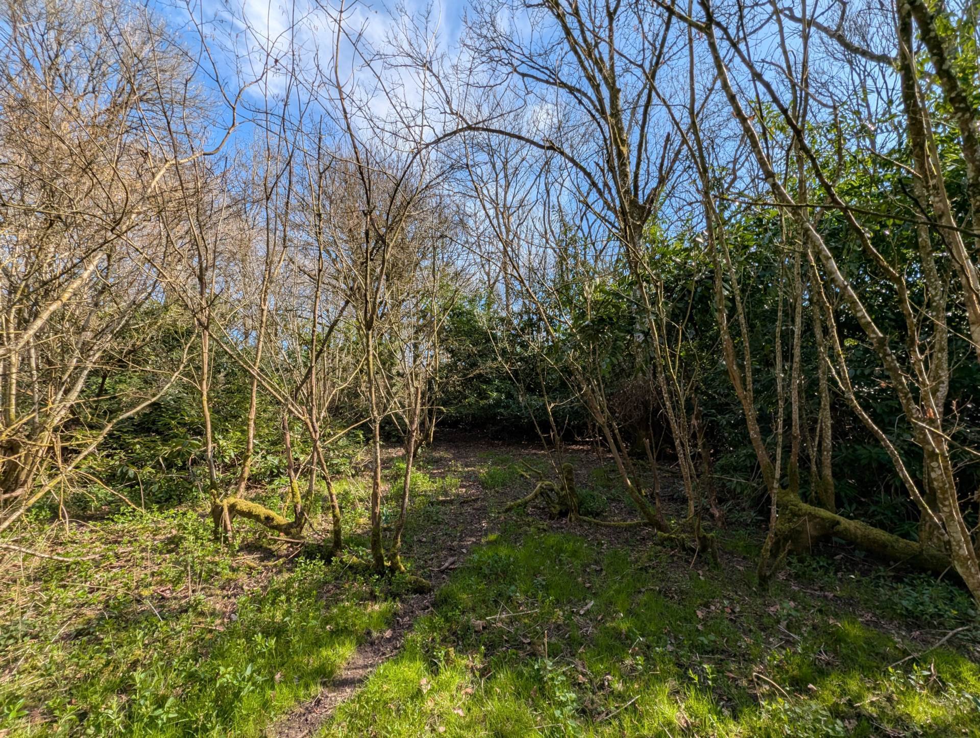 Nr Motcombe, Dorset - About 7.4 Acres Image 16