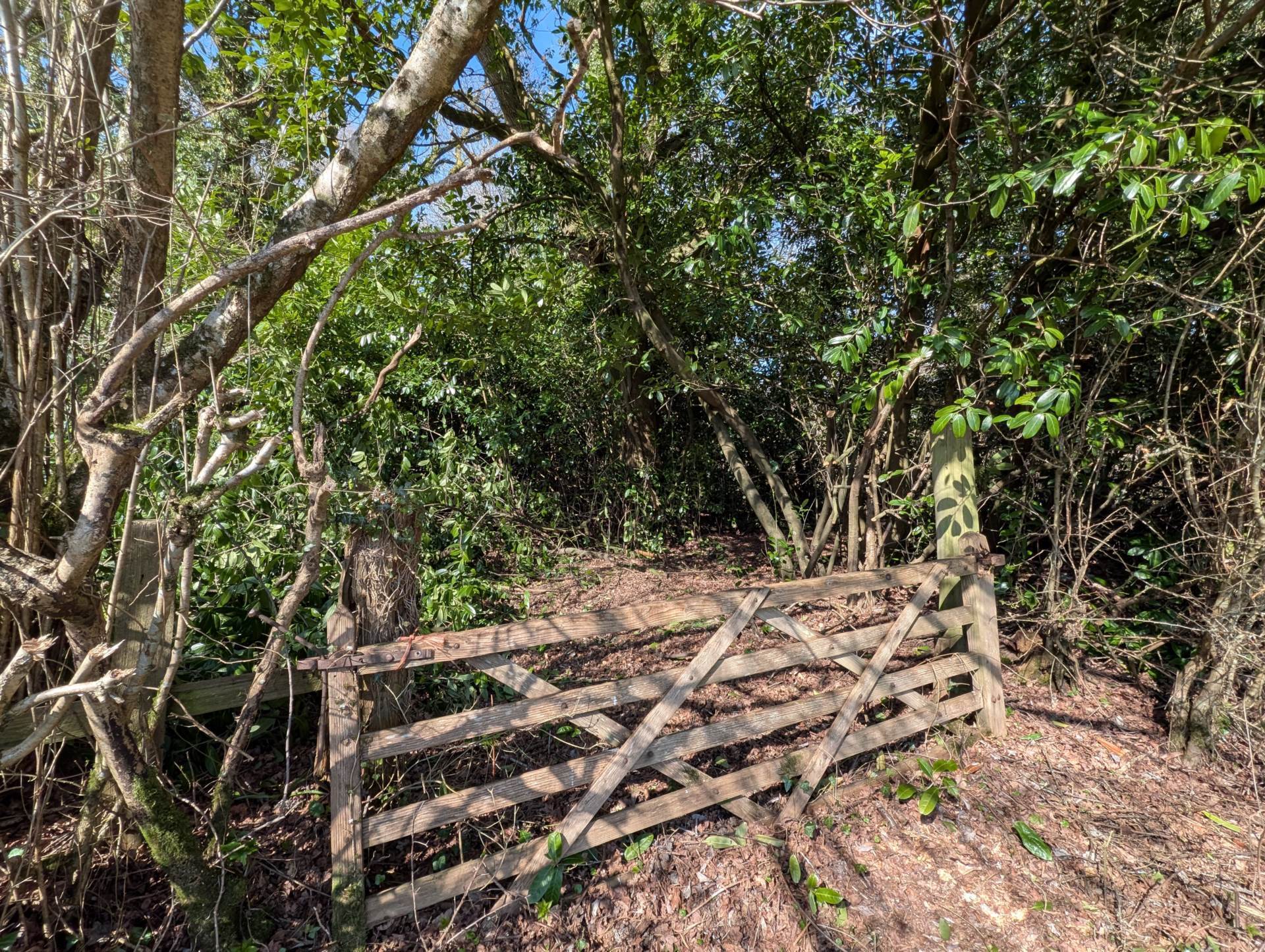 Nr Motcombe, Dorset - About 9.8 Acres Image 9