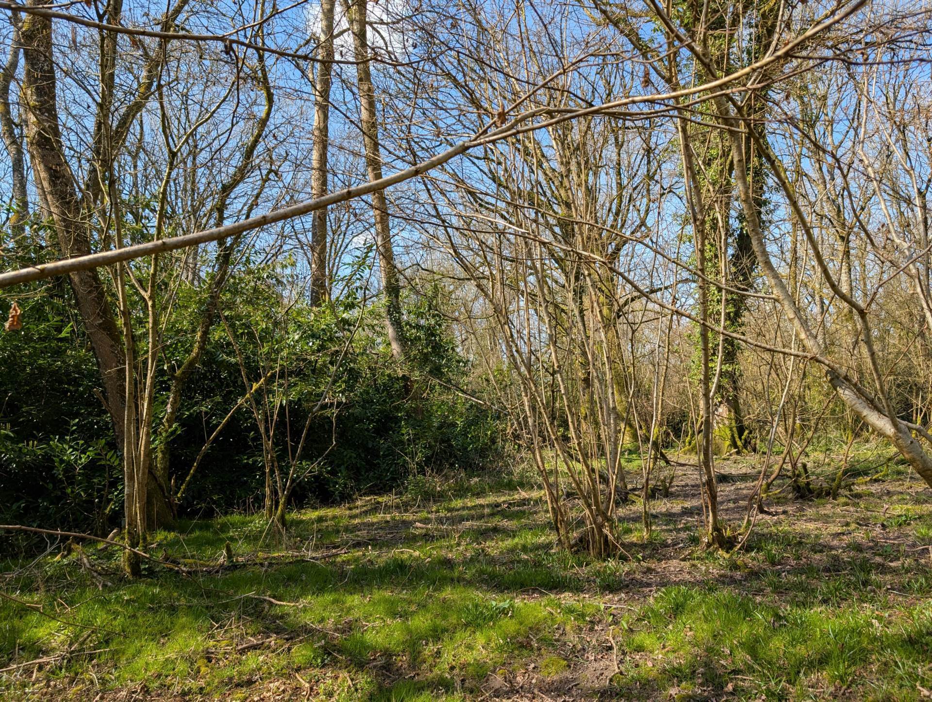 Nr Motcombe, Dorset - About 9.8 Acres Image 10