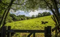 Property image gallery