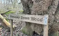 Property image gallery