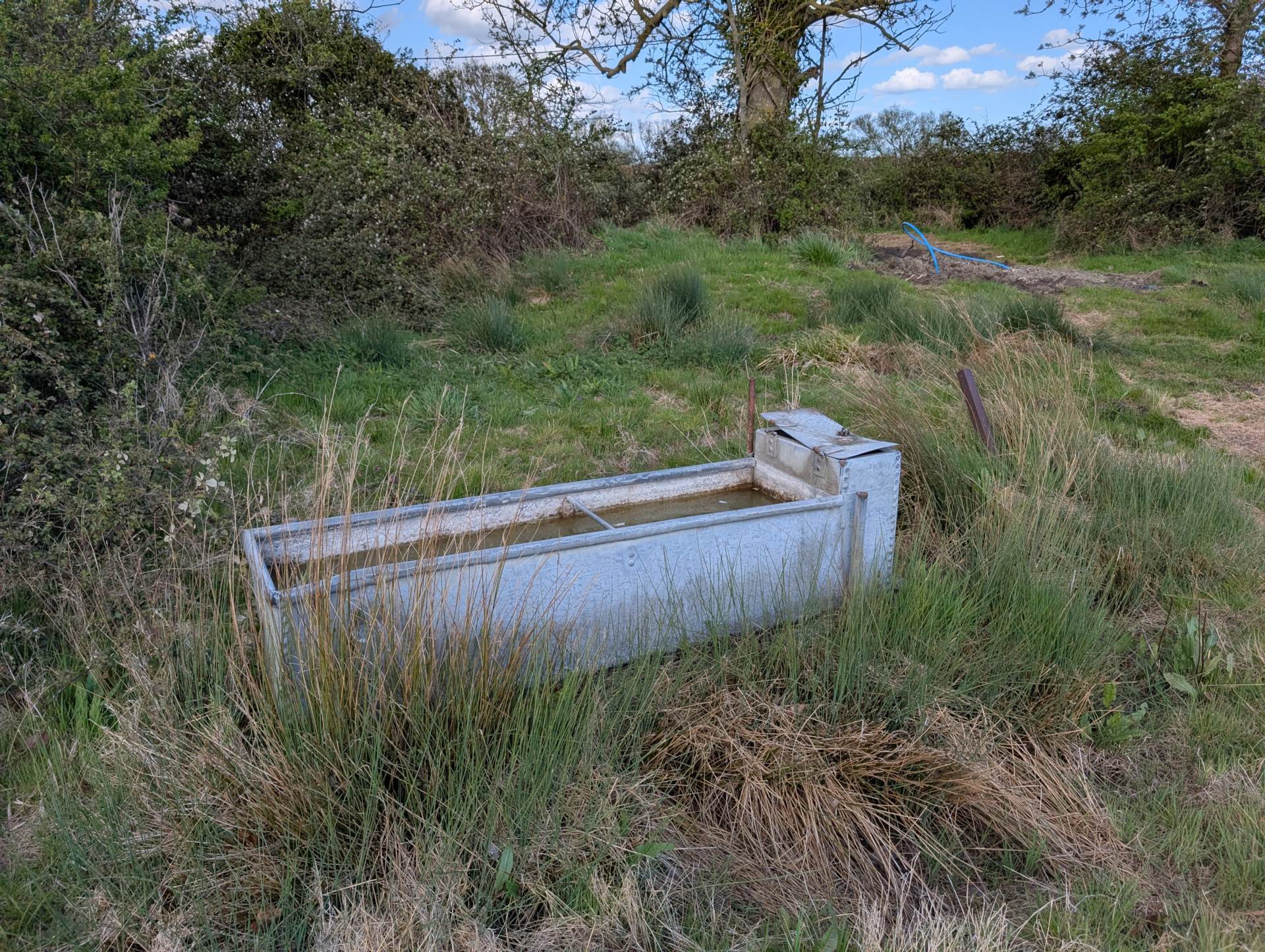 GREAT CHEVERELL, WILTSHIRE Image 13