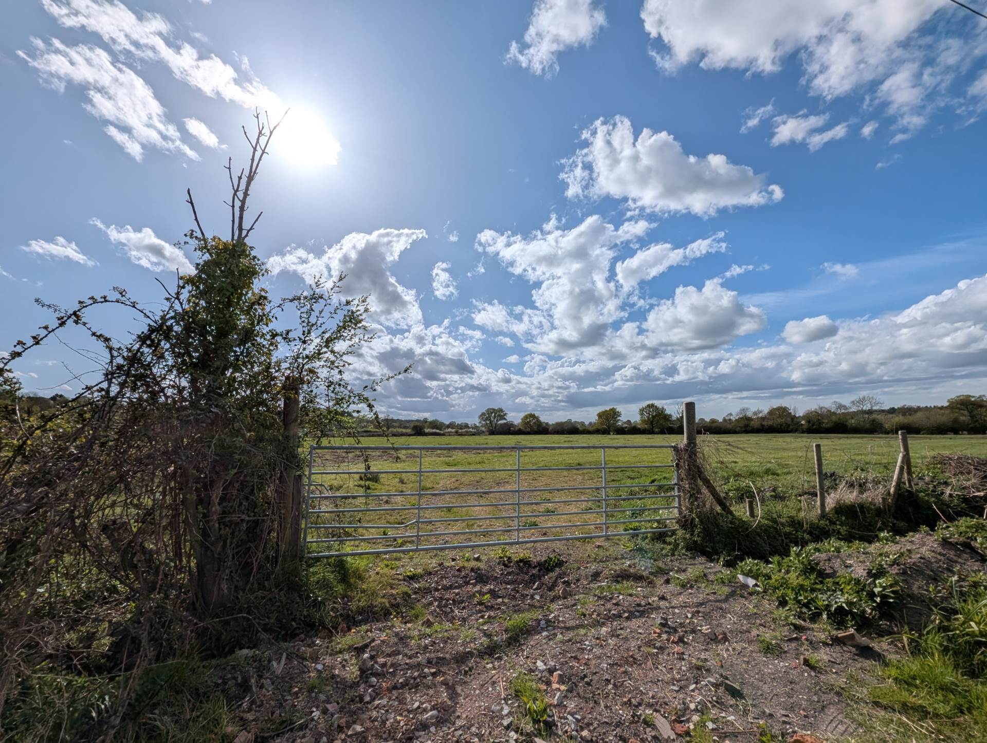 GREAT CHEVERELL, WILTSHIRE Image 16