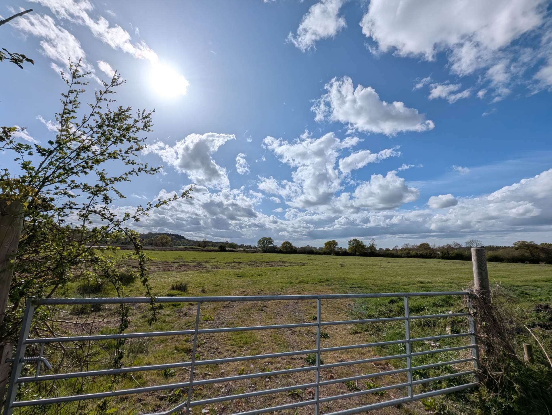 GREAT CHEVERELL, WILTSHIRE Image 17