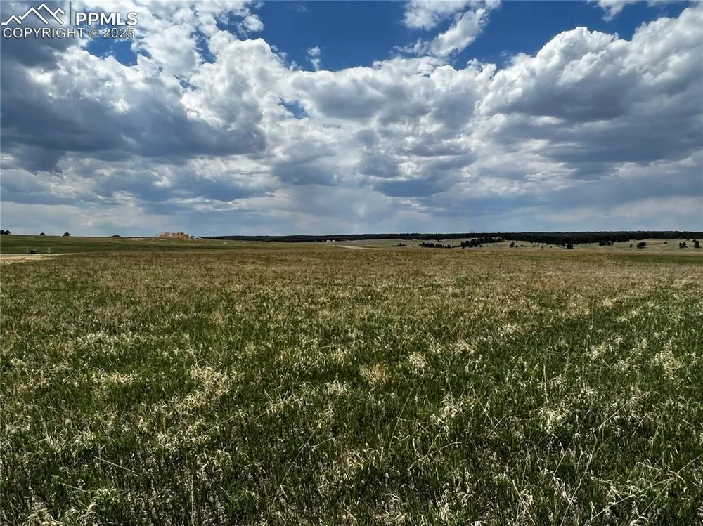 11970 Woodridge Terrace, Colorado Springs, CO 80908