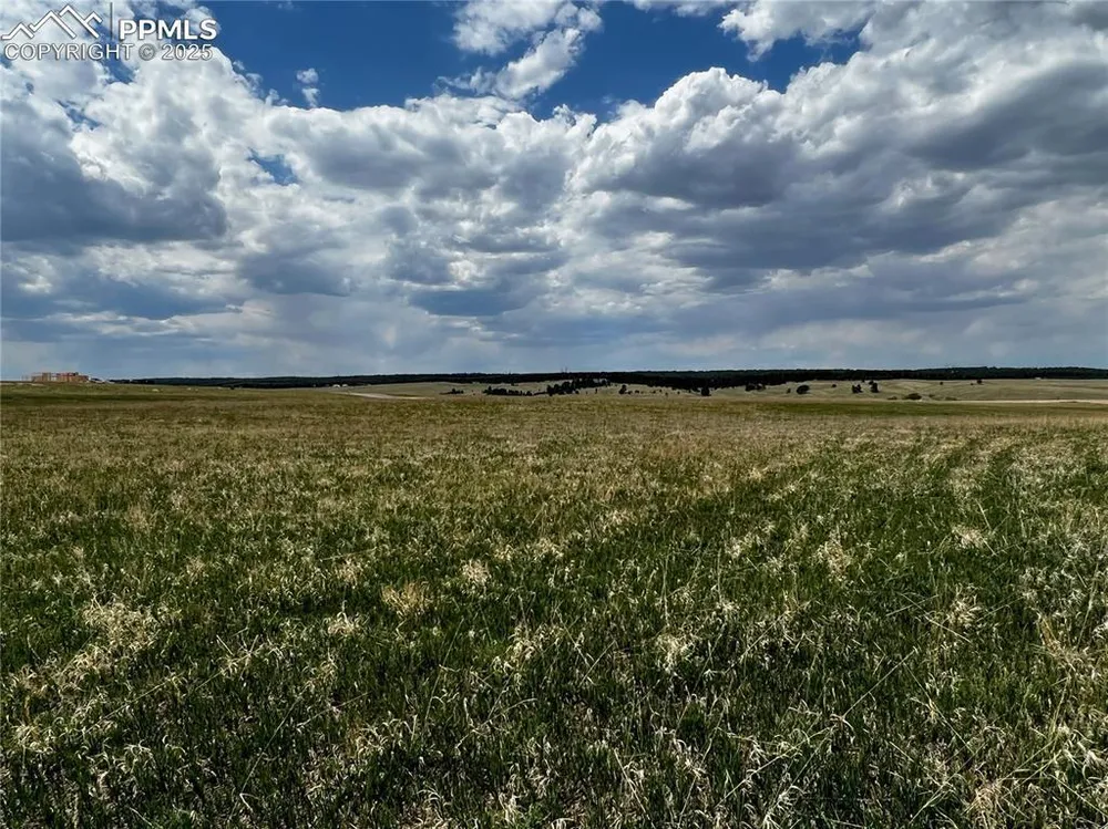 11970 Woodridge Terrace, Colorado Springs, CO 80908