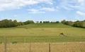 Property image gallery