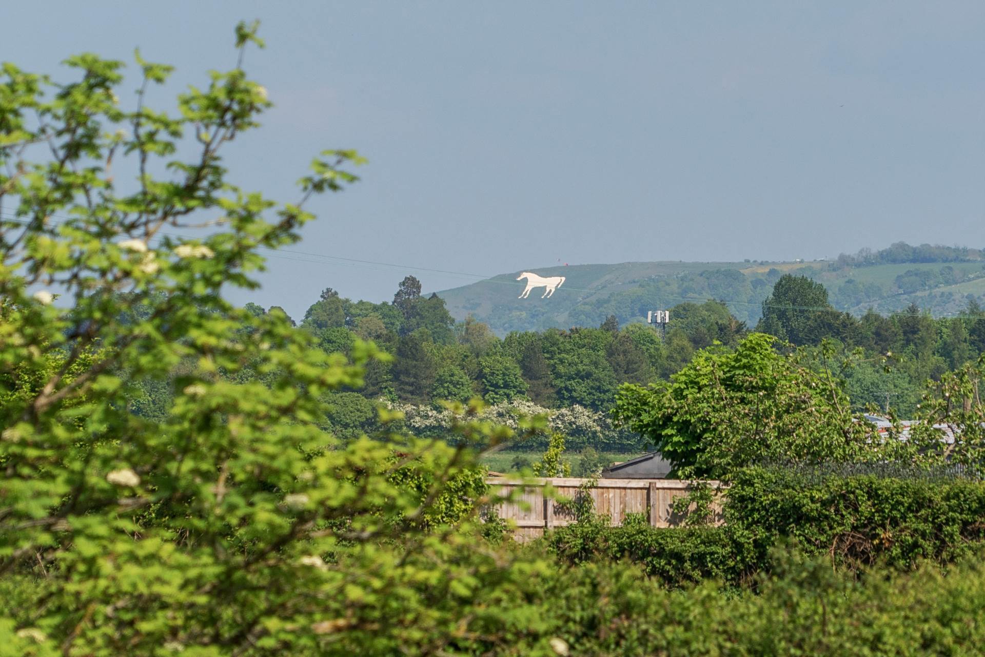 Chapmanslade, Nr Frome, Wiltshire Image 19