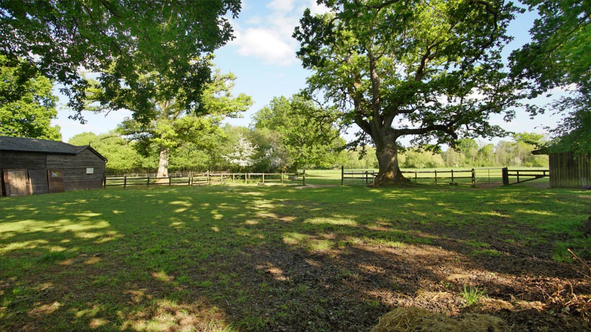 Nr Wimborne, Dorset Image 18