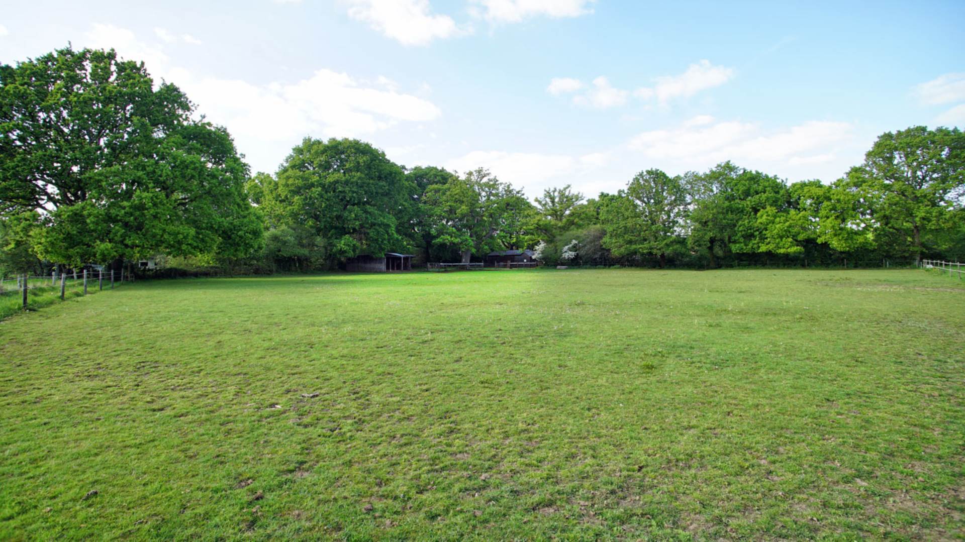 Nr Wimborne, Dorset Image 19