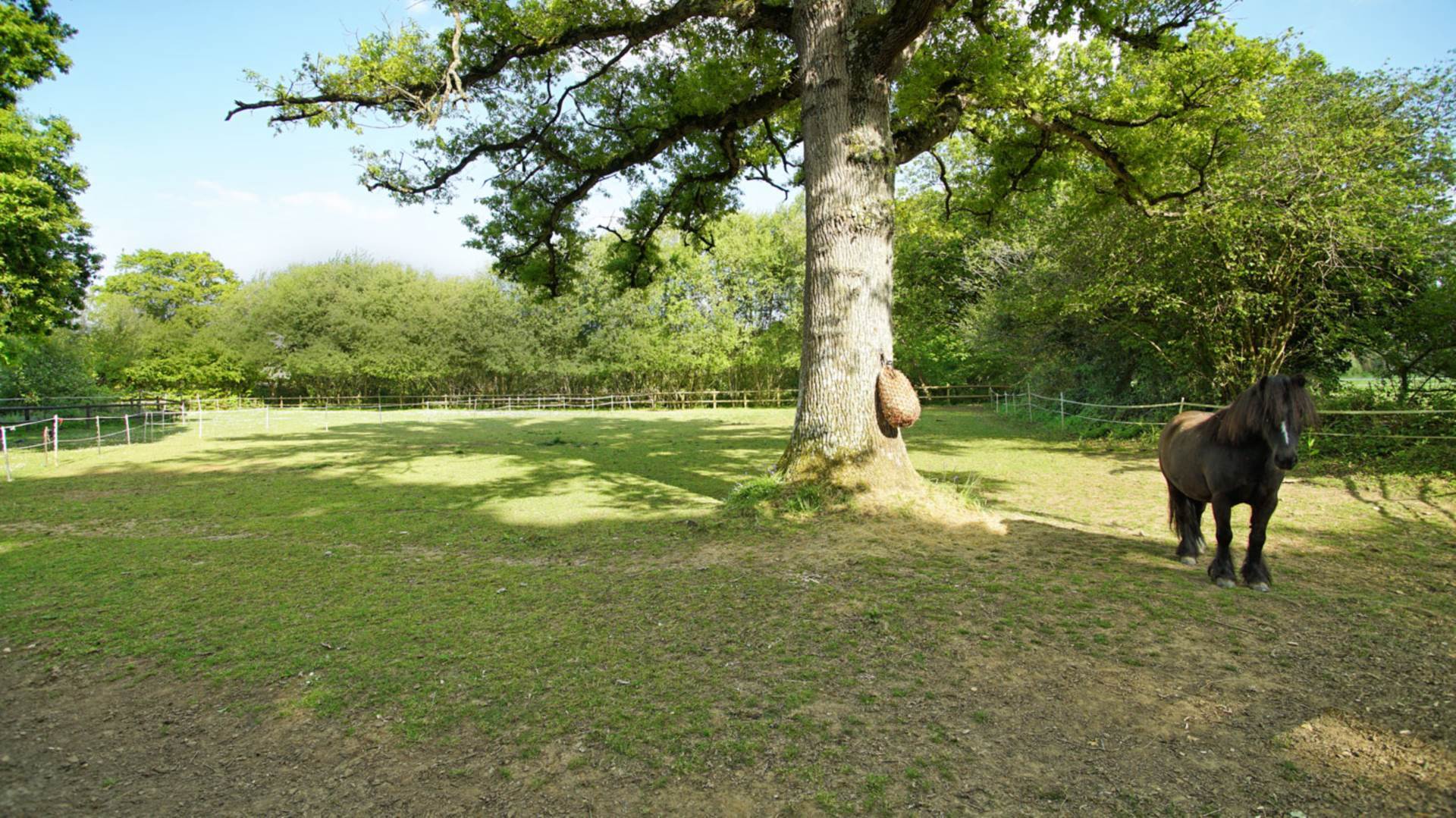 Nr Wimborne, Dorset Image 20
