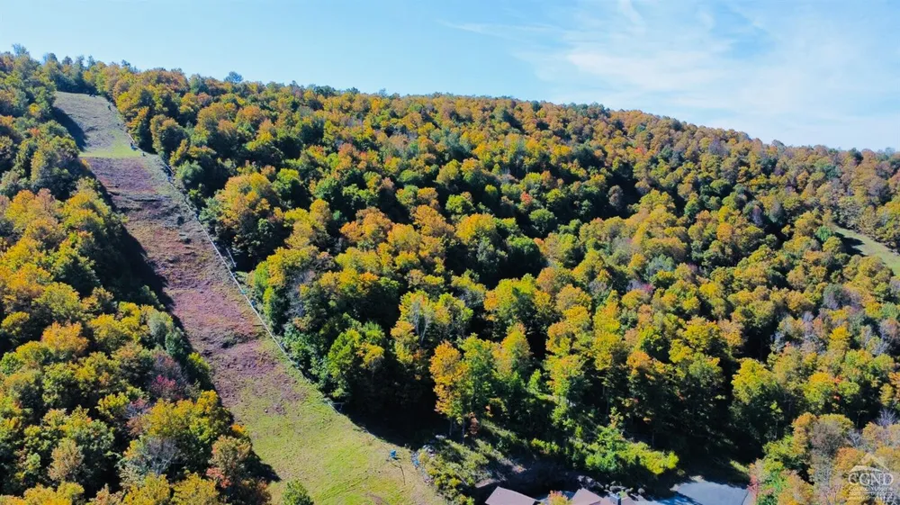 247 Club Rd, Windham, NY 12496