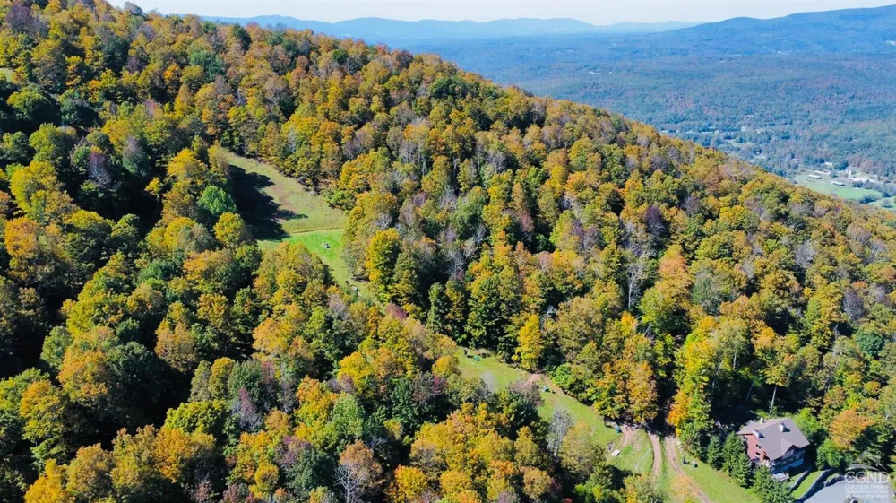 247 Club Rd, Windham, NY 12496