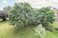 Innes Gardens, London, SW15 photo 12