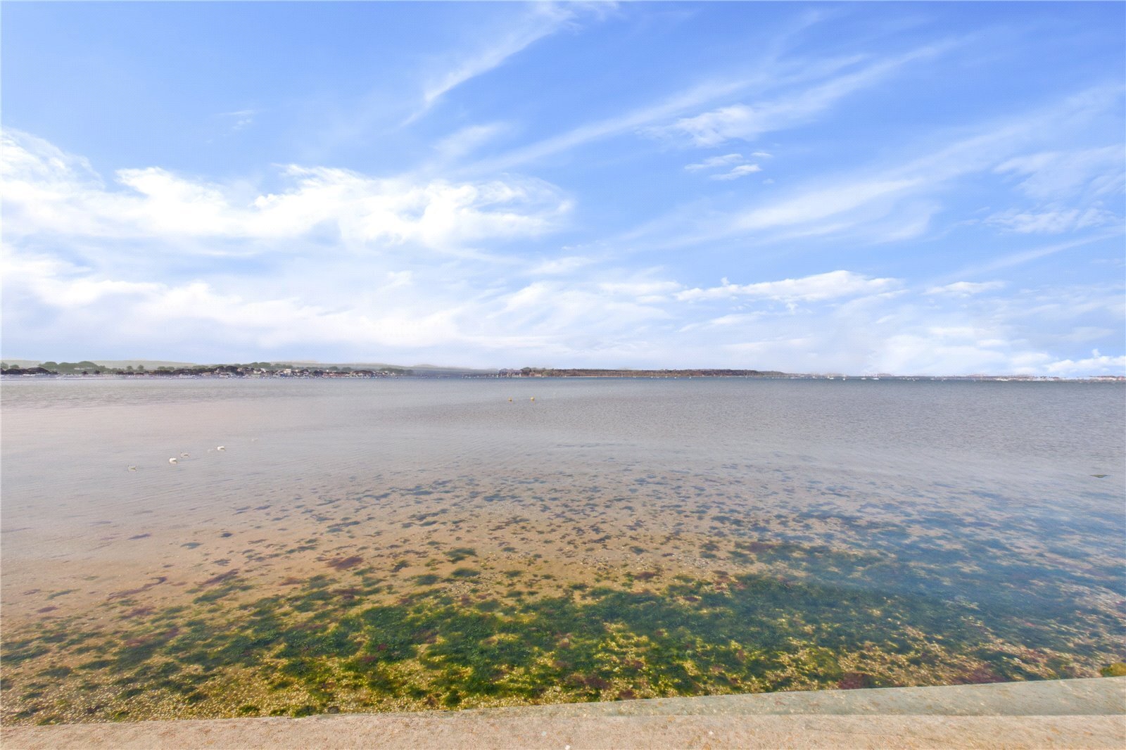 Chaddesley Glen, Poole, Dorset, BH13 Image 20