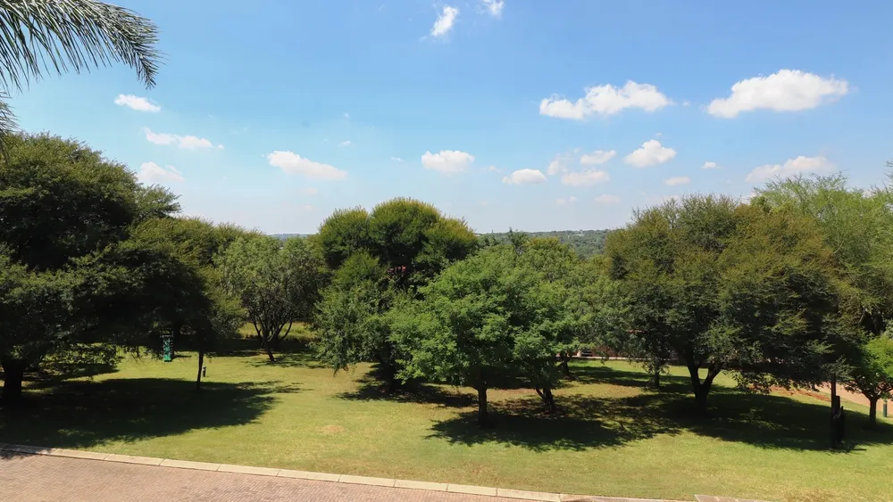South Africa, Gauteng, Featherbrooke Estate, Plover's Nest, 1151