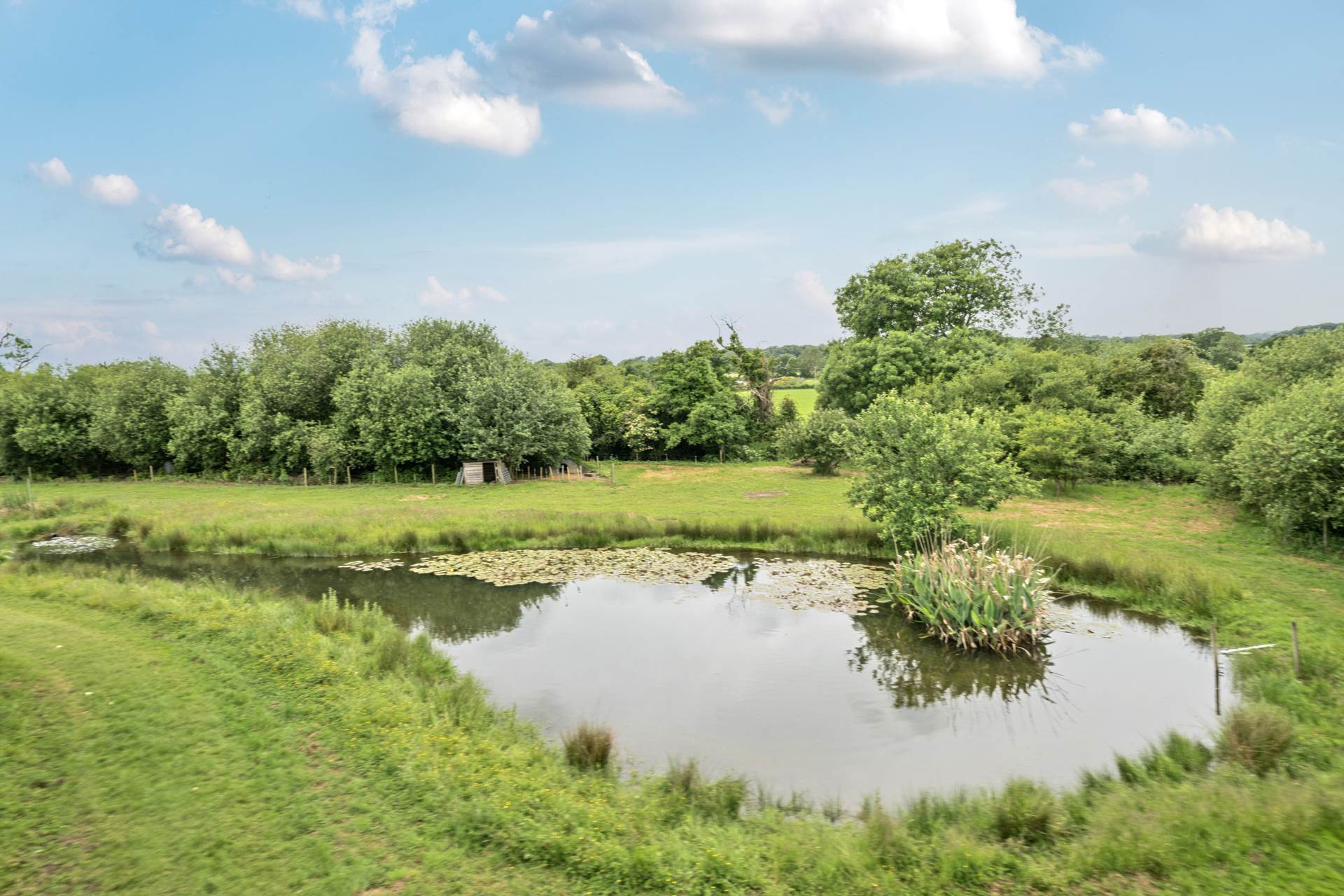 Bere Mills, Nr Ilminster, Just Under 5 Acres Image 18