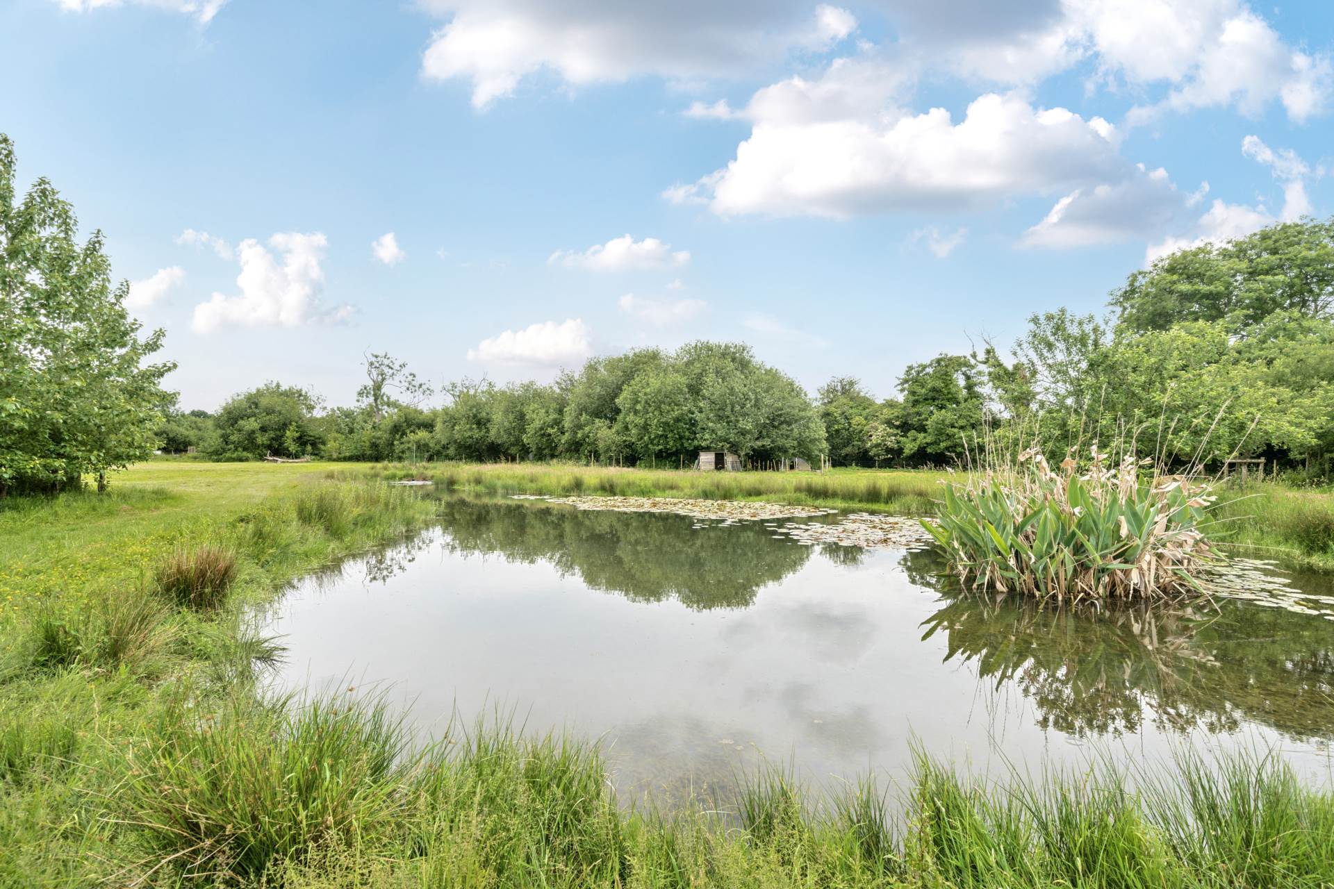 Bere Mills, Nr Ilminster, Just Under 5 Acres Image 19