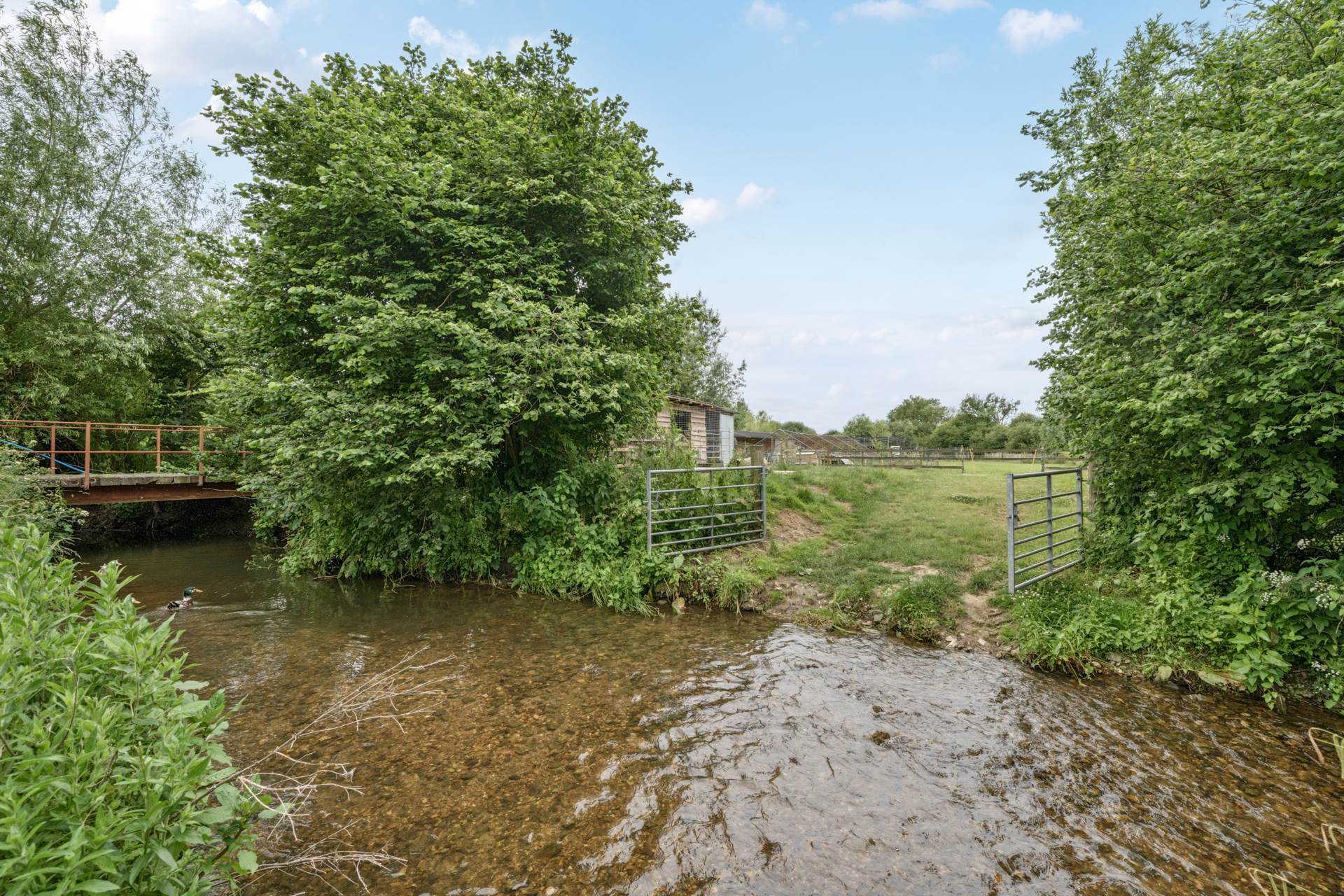 Bere Mills, Nr Ilminster, Just Under 5 Acres Image 23