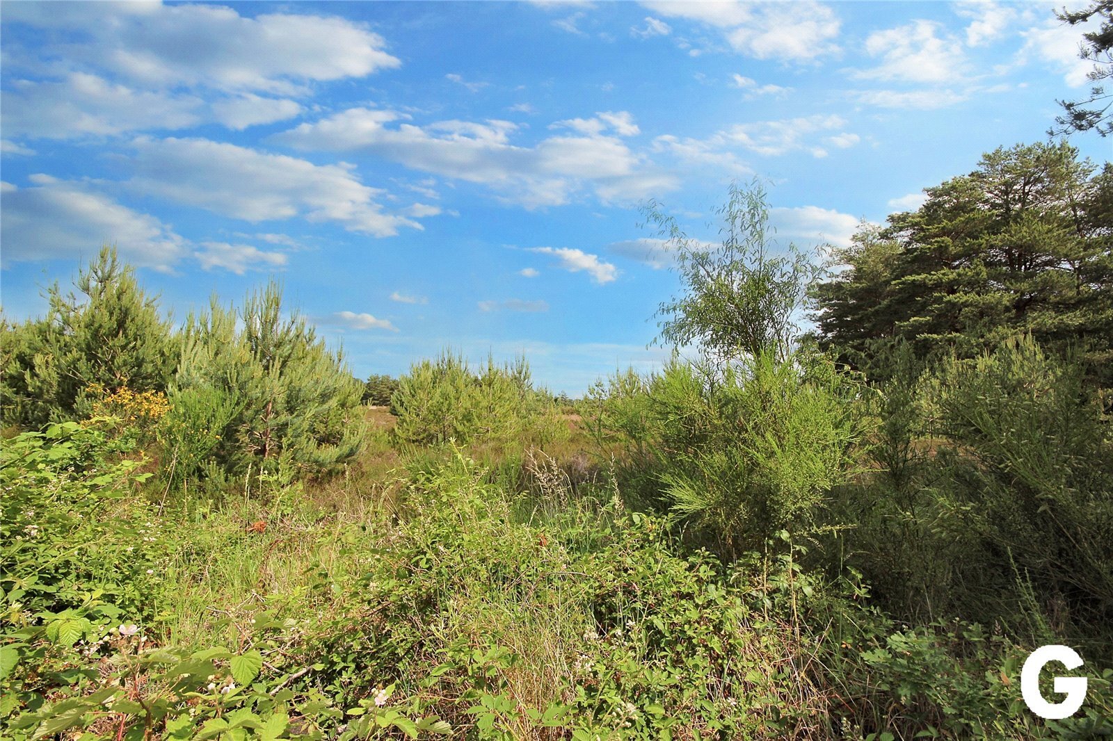 Lone Pines Close, Matchams Lane, Hurn, Christchurch, BH23 Image 14
