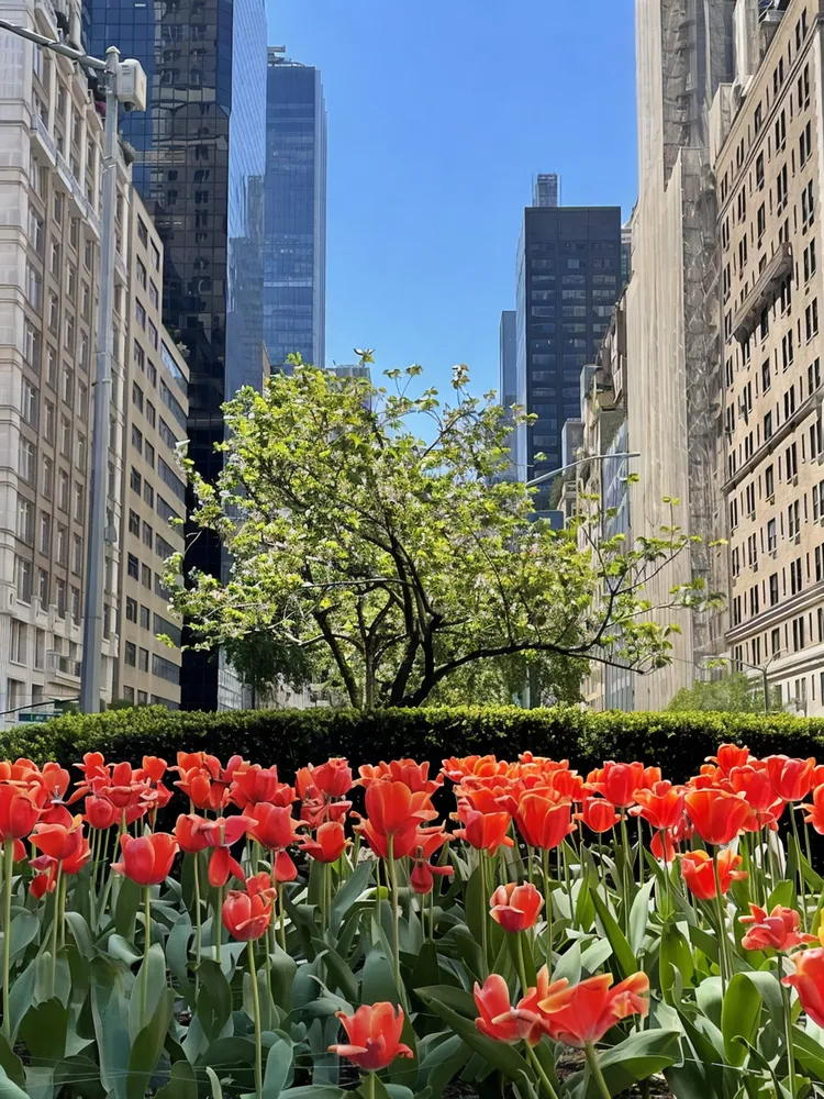 115 E 61st St, New York, NY 10065